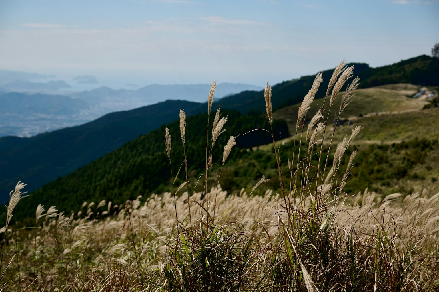 Paisaje montañoso con hierba ondeante y colinas distantes