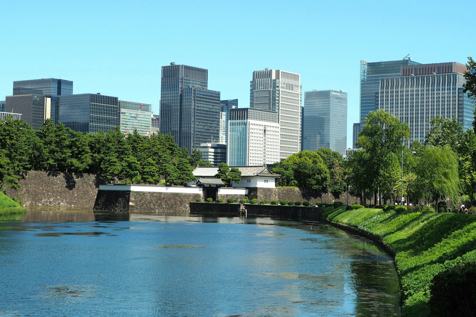 现代城市天际线与河边绿地