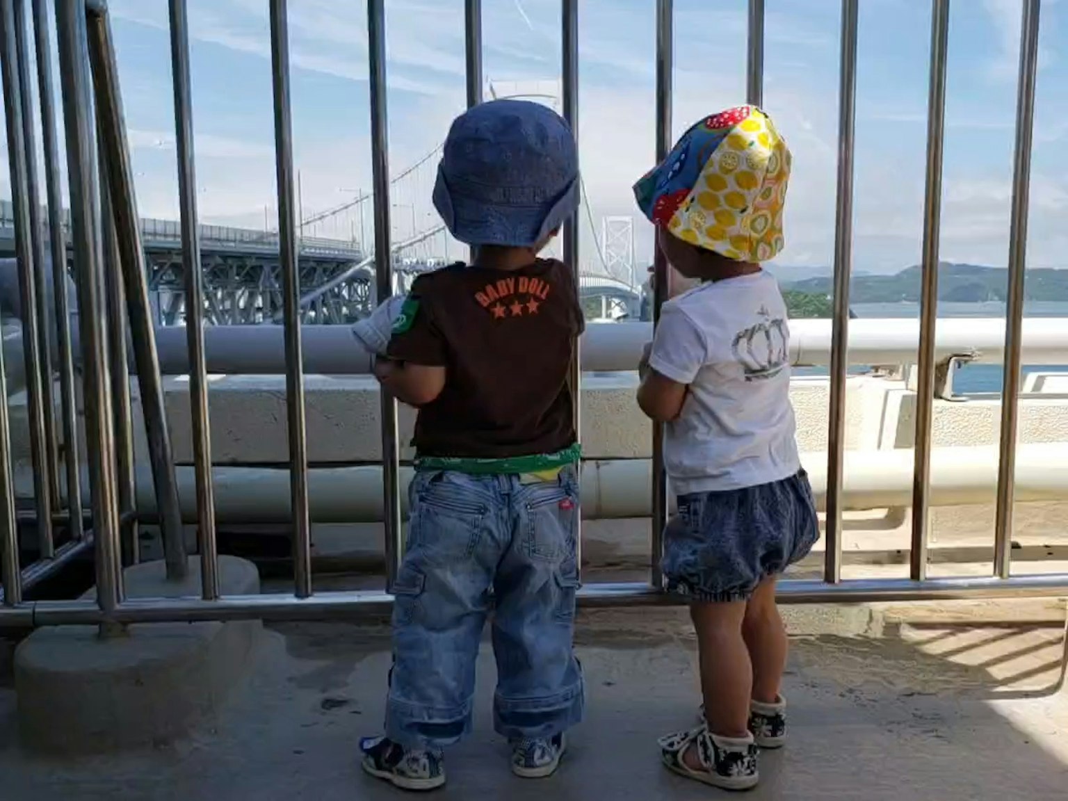 Dos niños de pie junto a una valla mirando la vista