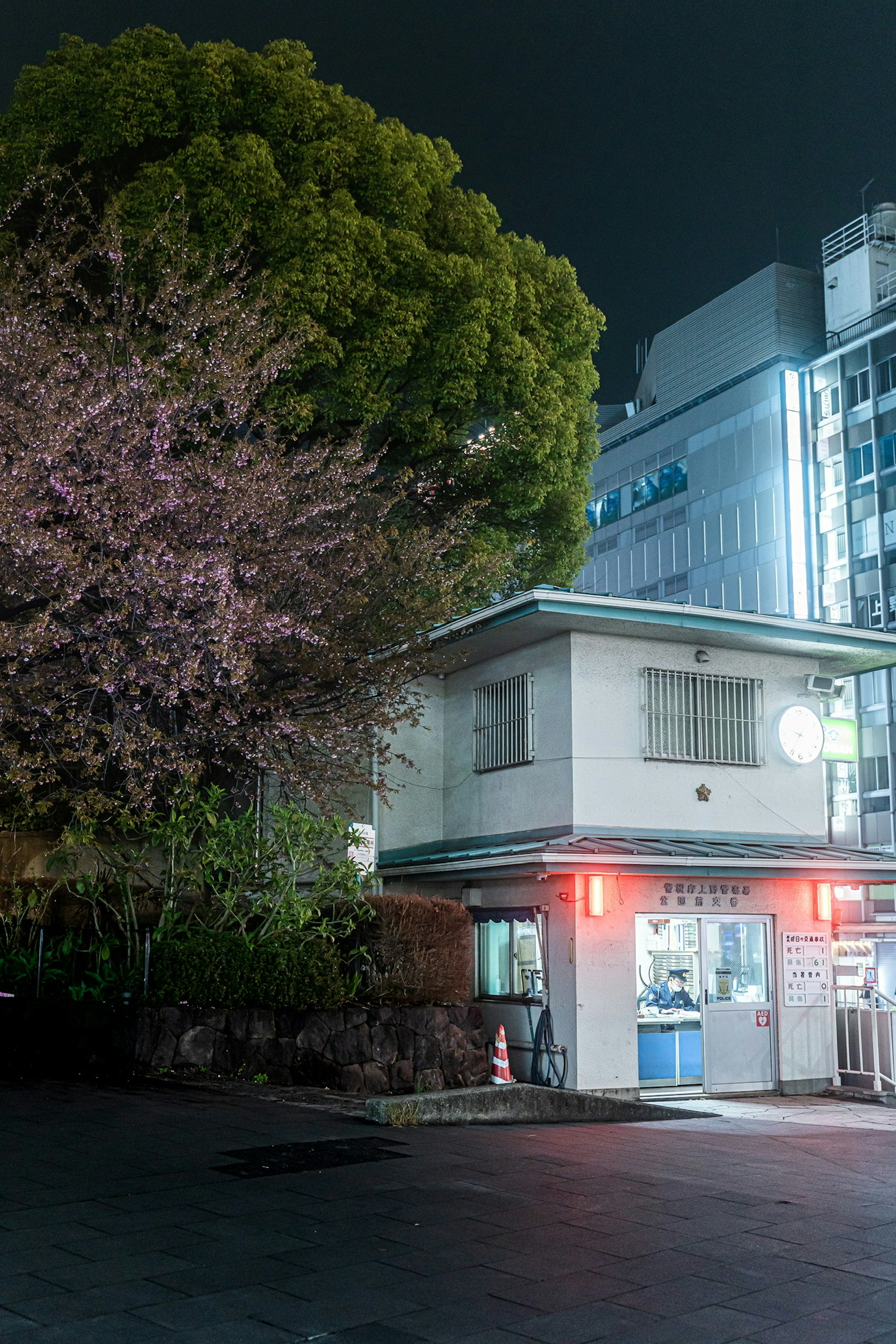 夜晚櫻花樹和建築物旁的小警衛室
