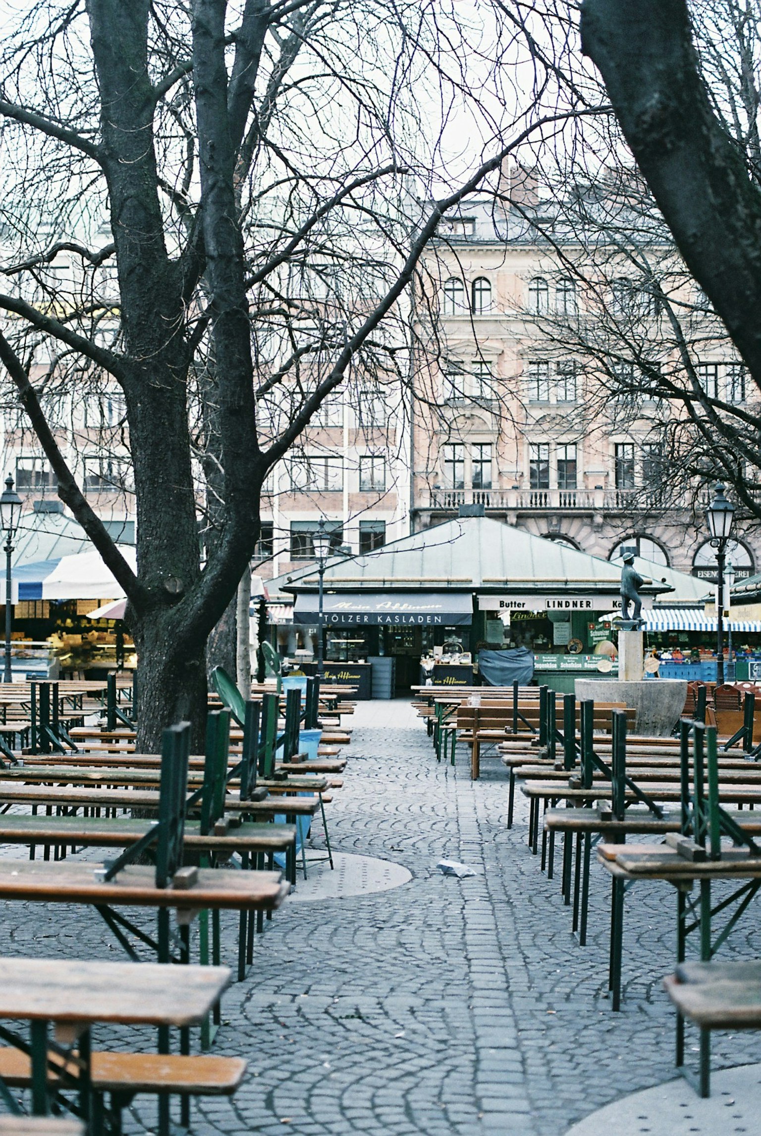 A view of an empty terrace with tables surrounded by trees