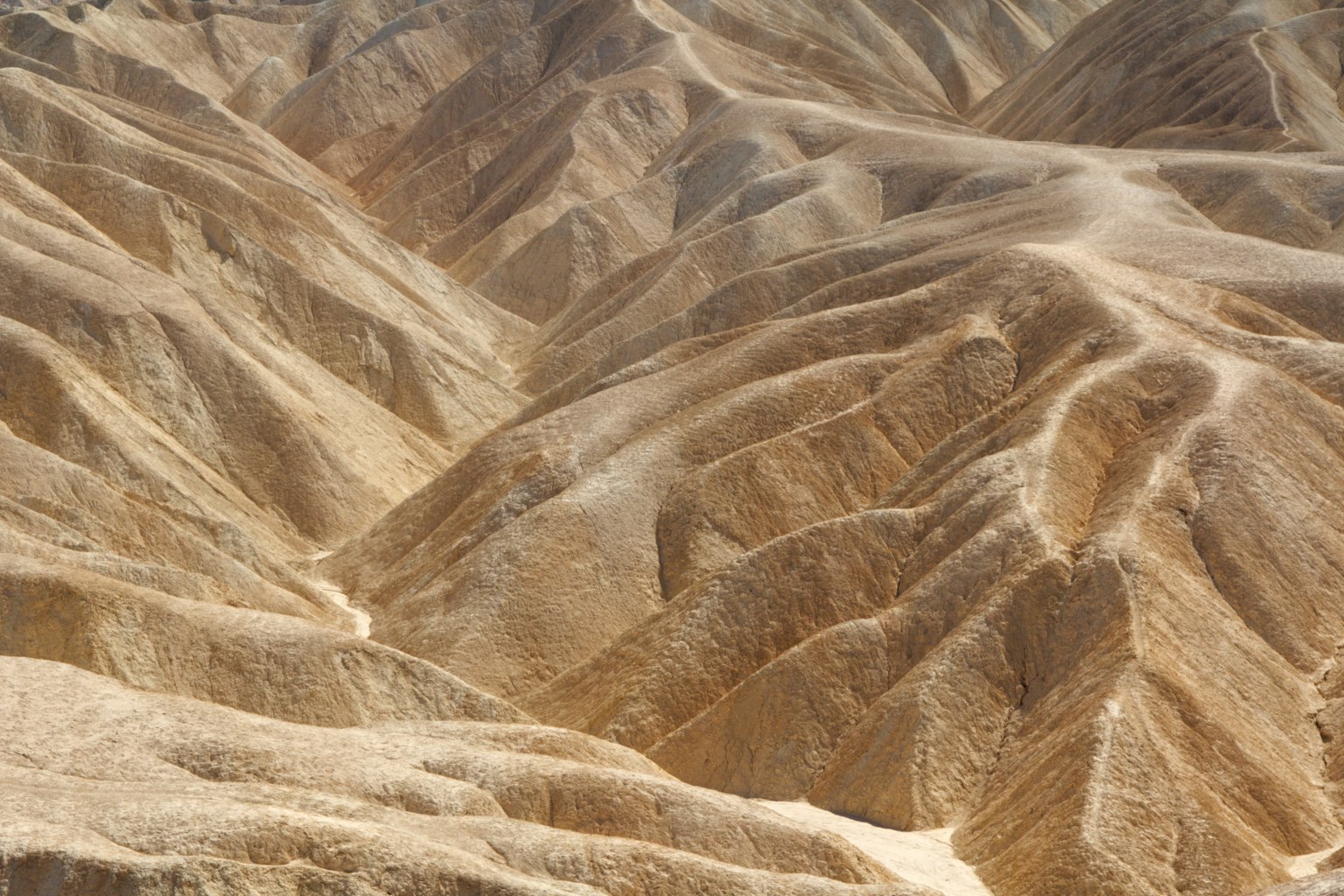 Welliges Landschaftsbild mit trockenen, gerippten Hügeln