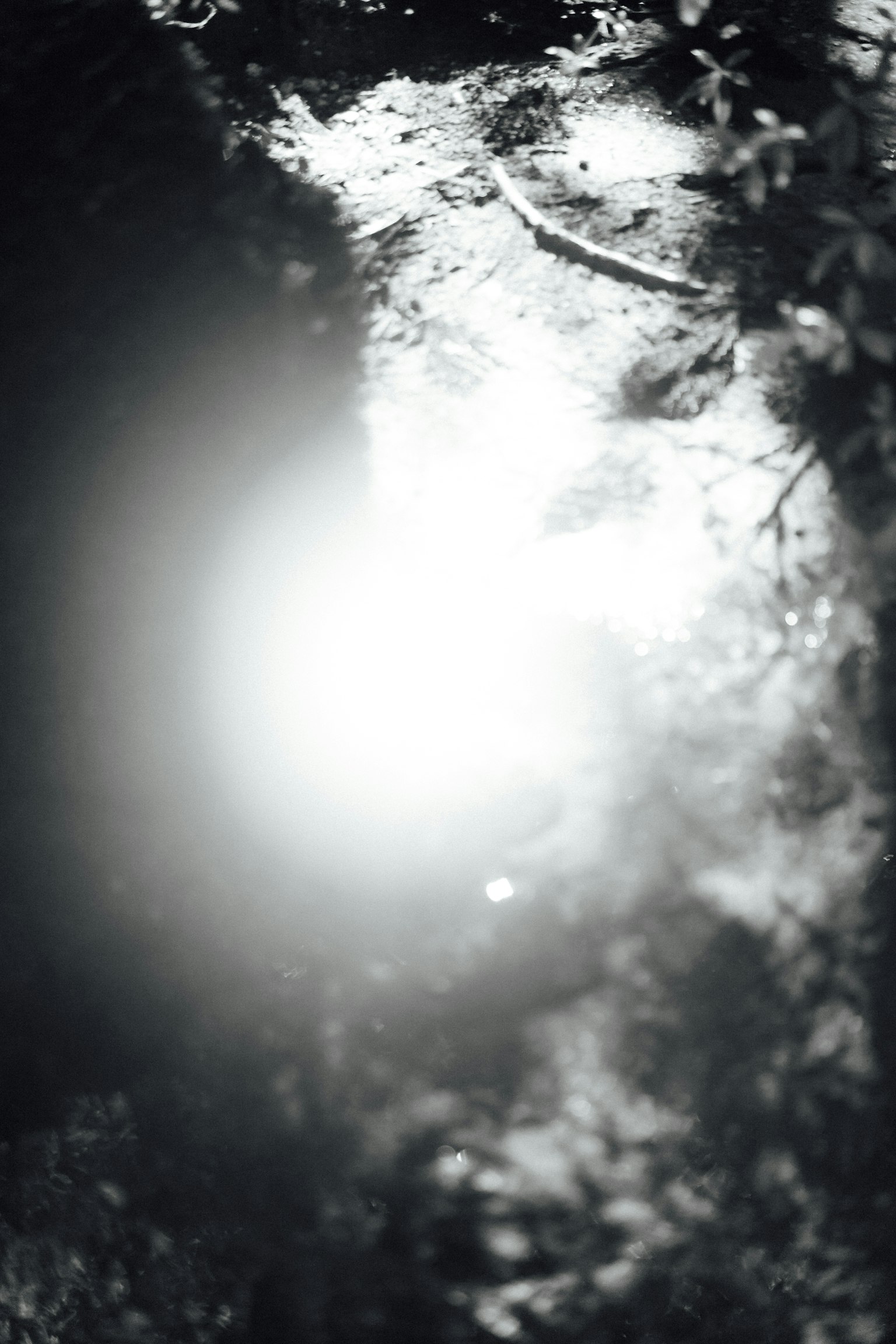 Scène mystérieuse avec de la lumière traversant un paysage en noir et blanc