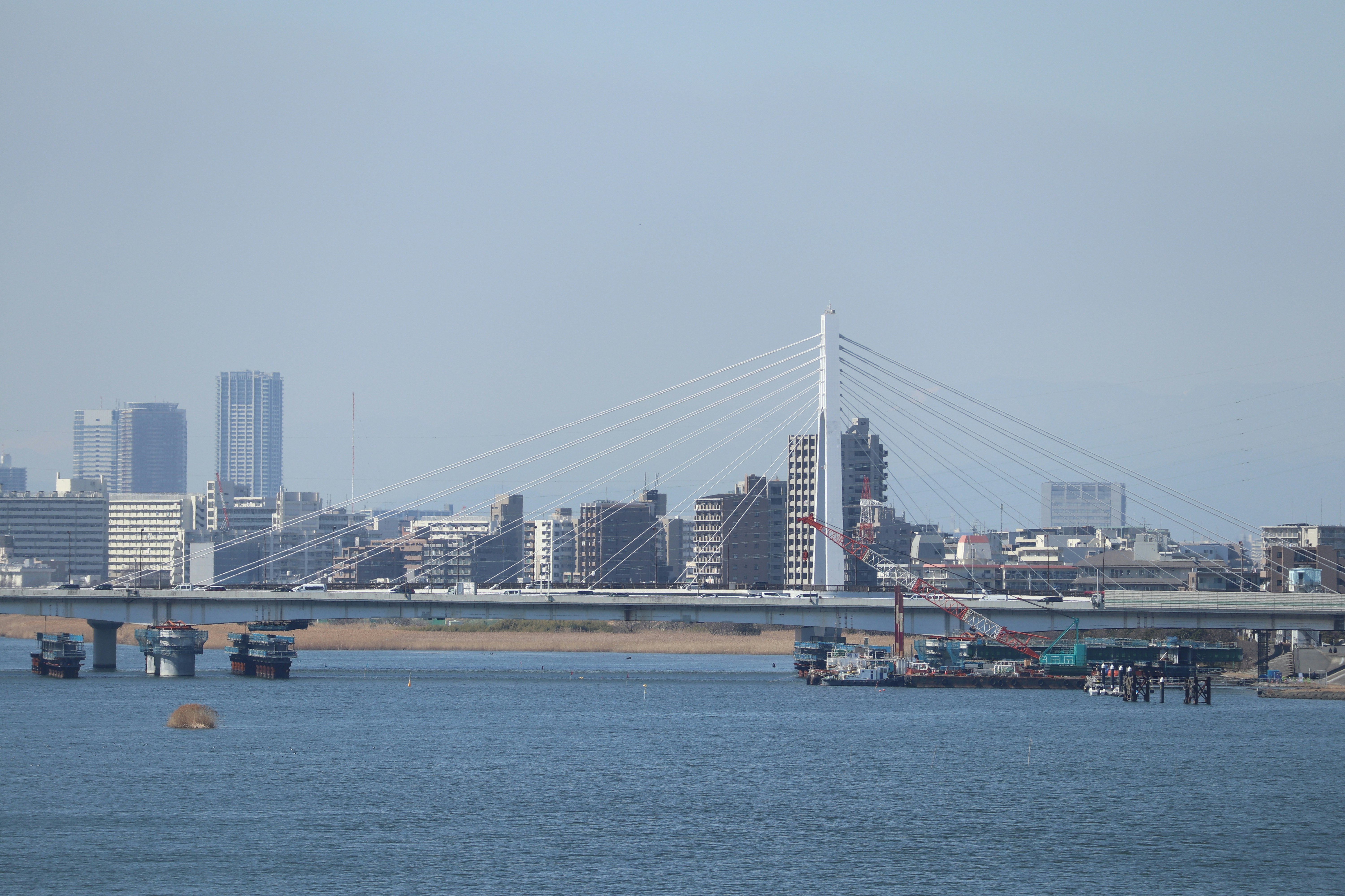 海上から望む大橋と湾岸の都市景観
