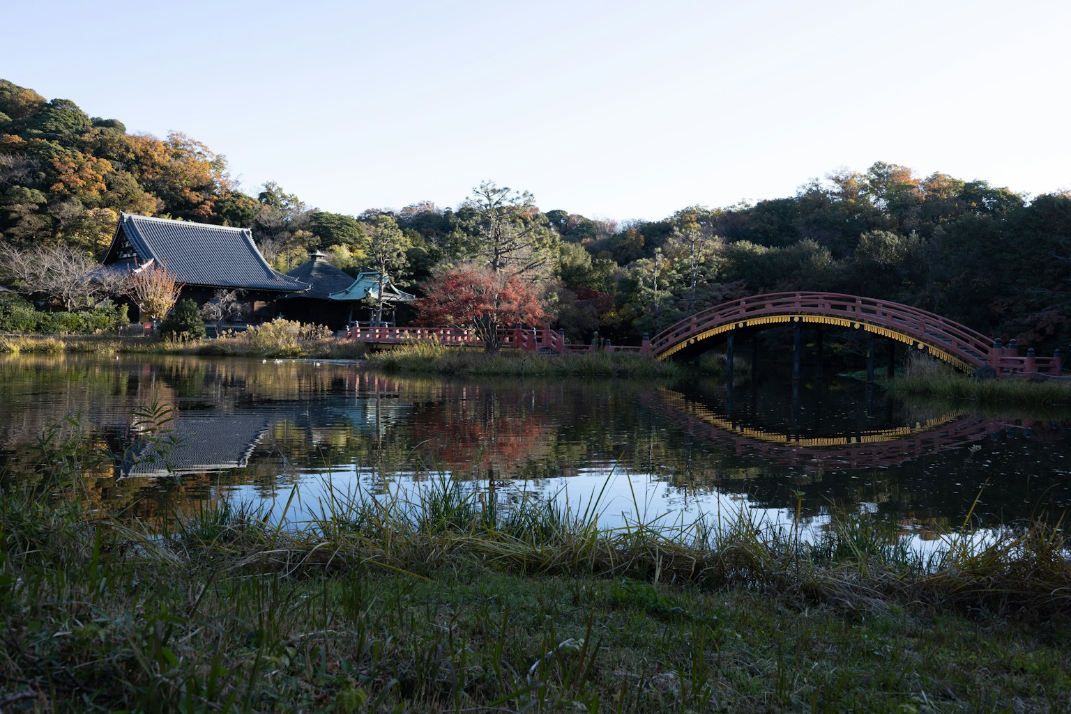 池と赤い橋がある日本庭園の風景