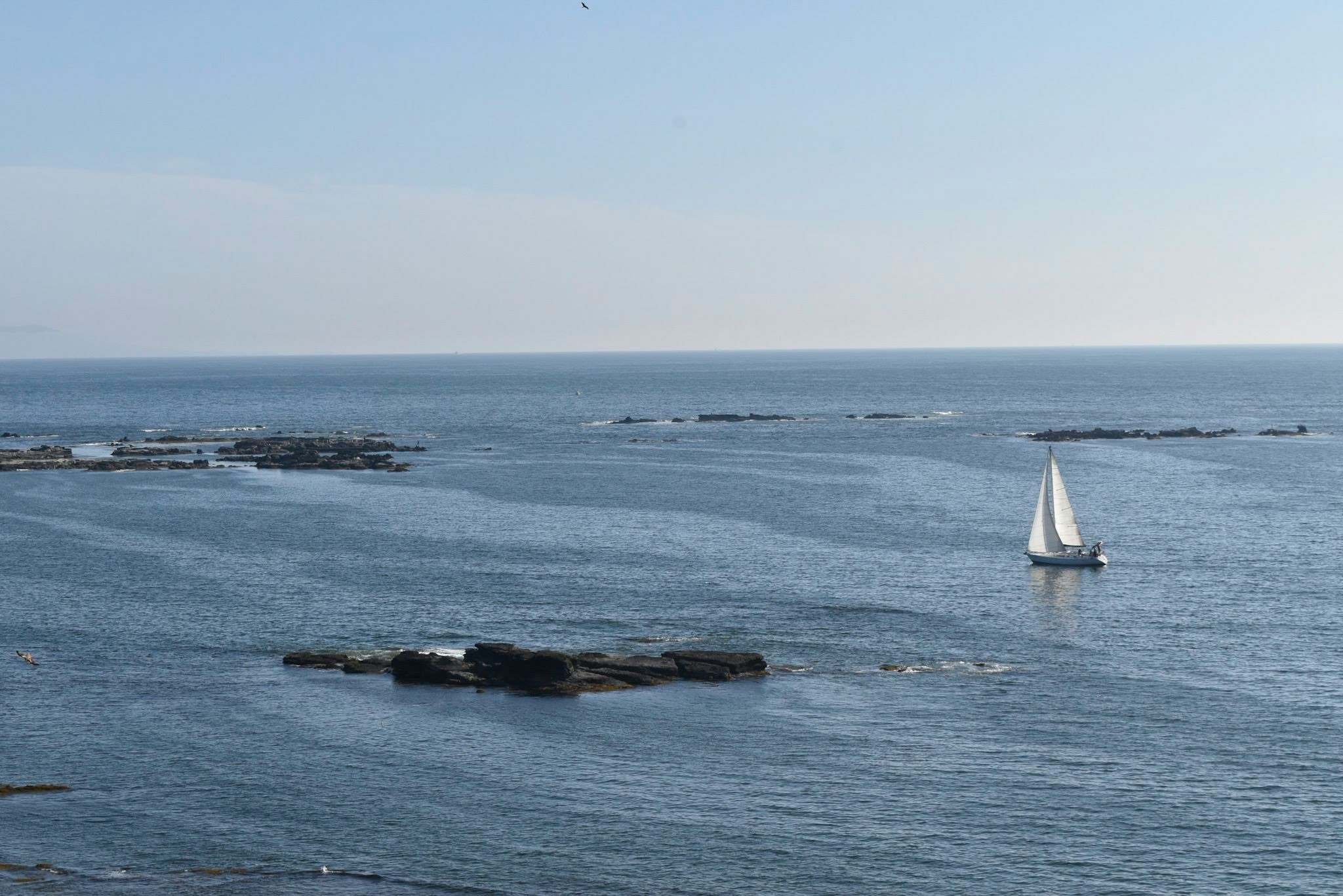 岩礁のある広い海と帆を張るヨットのある風景