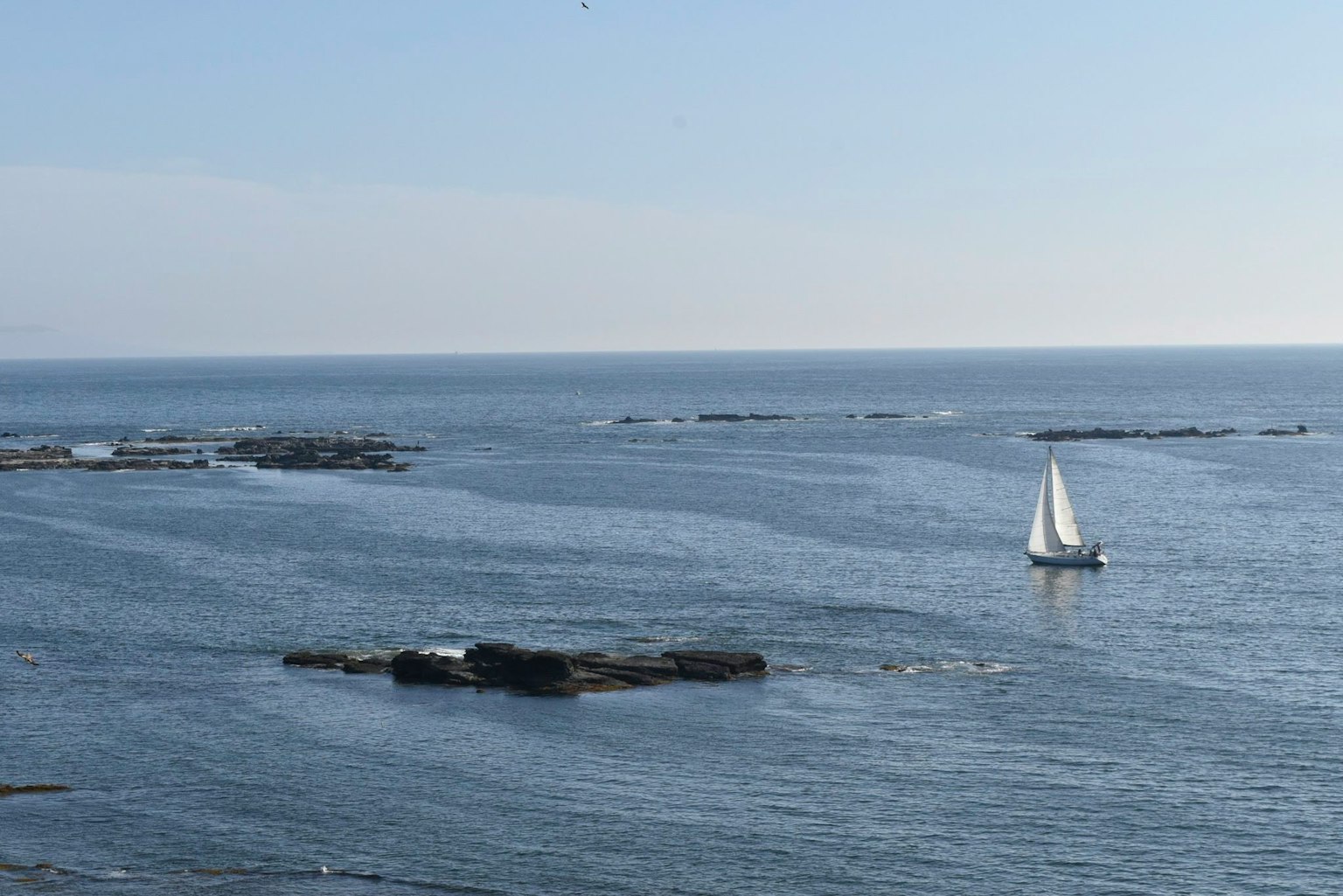Una vista panoramica di un mare blu con una barca a vela bianca