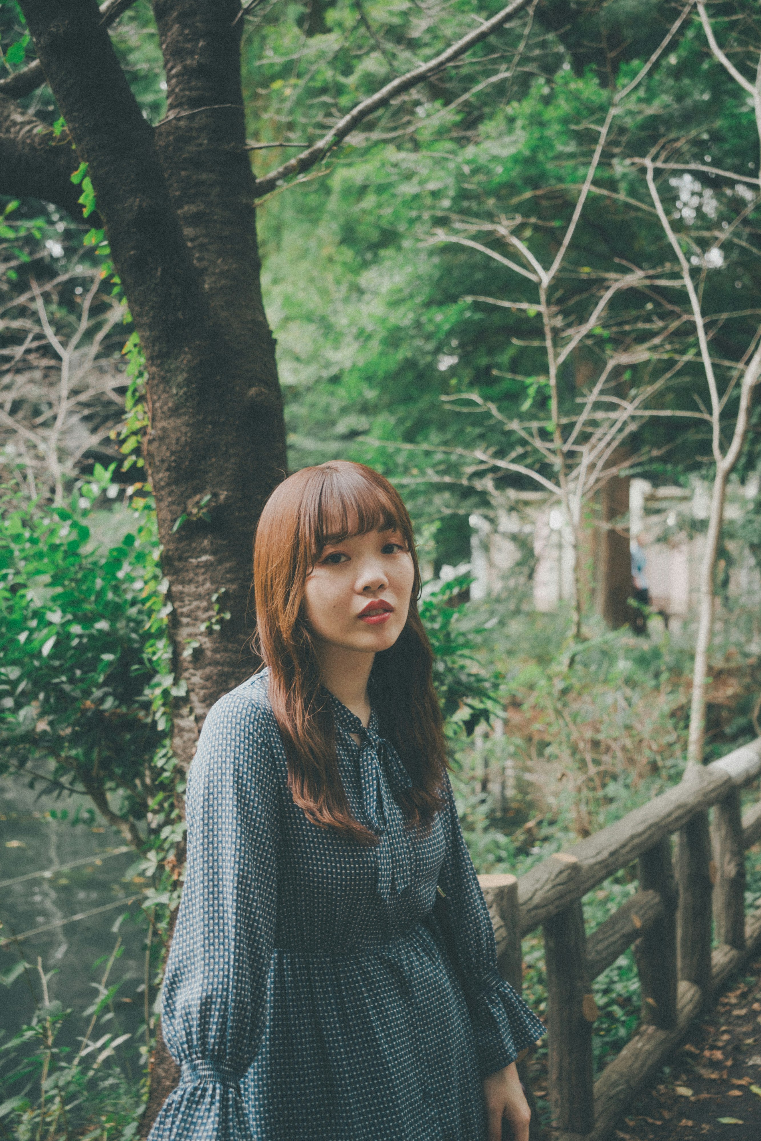 木立の小道で佇む女性