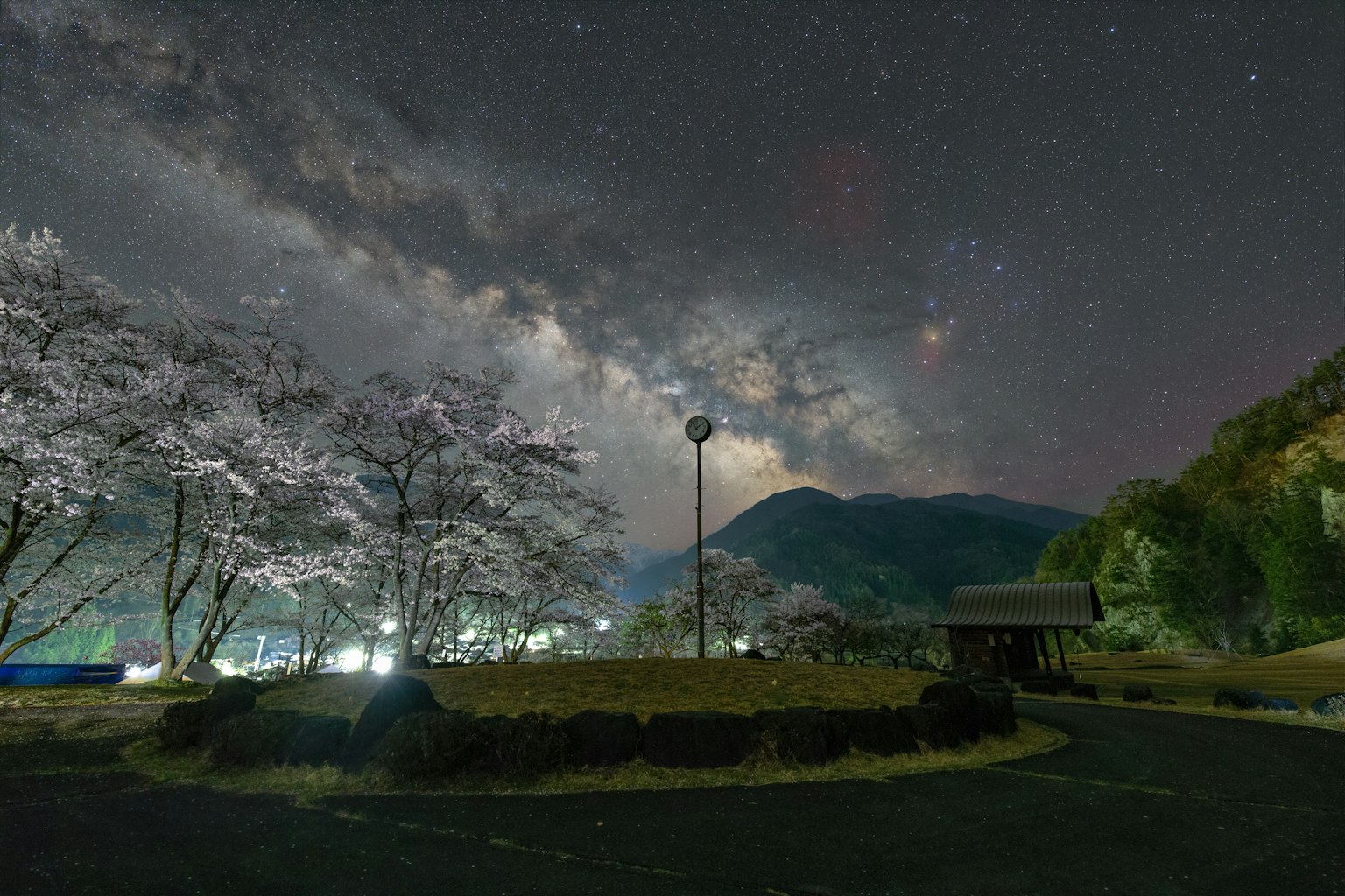 Stupendo cielo notturno pieno di stelle e alberi di ciliegio