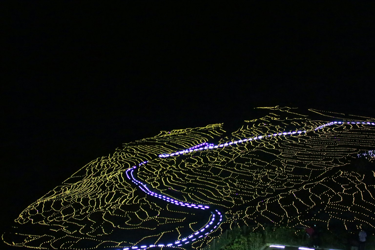夜间照亮的稻田梯田的美丽景观