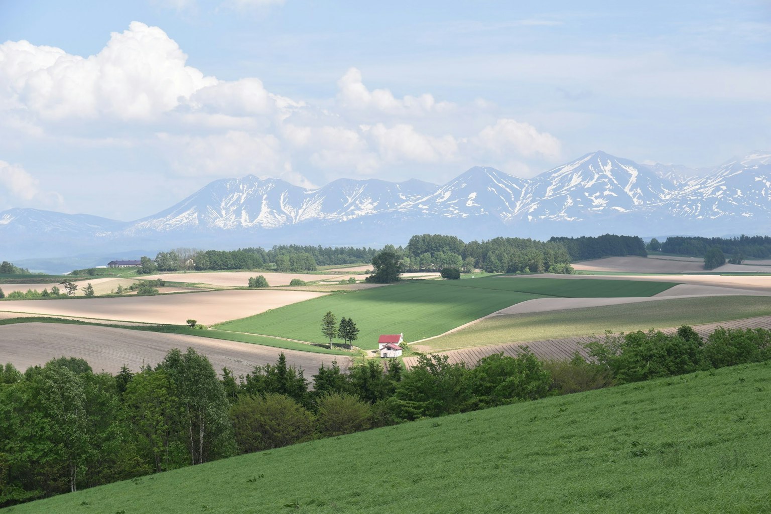 Scenic rural landscape featuring green fields and snow-capped mountains