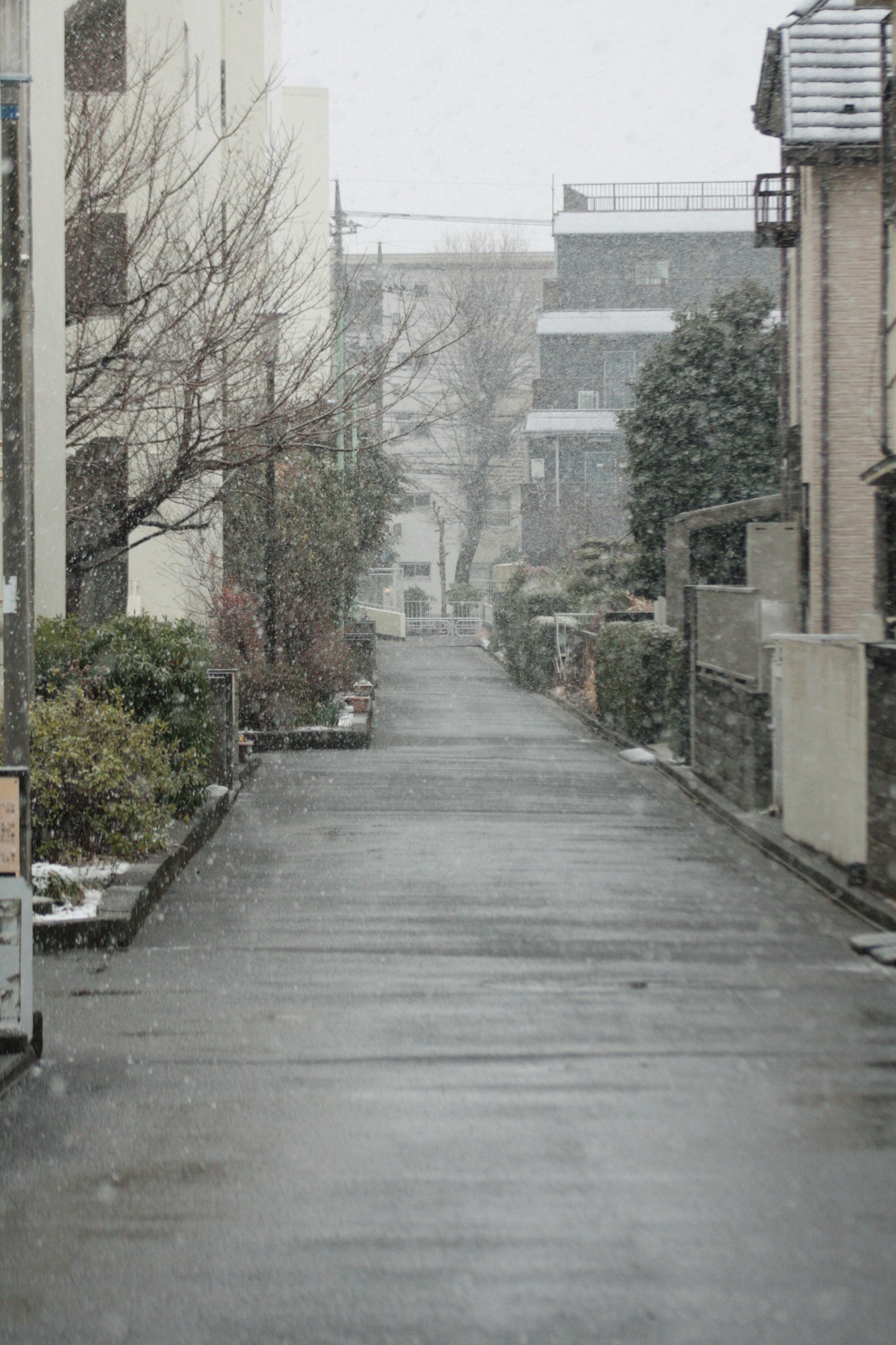 Ruhige Straße mit fallendem Schnee