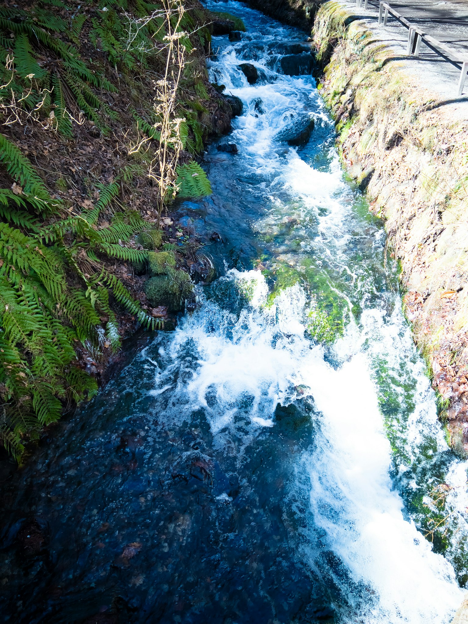 Ruisseau tumultueux avec eau claire et rochers couverts de mousse