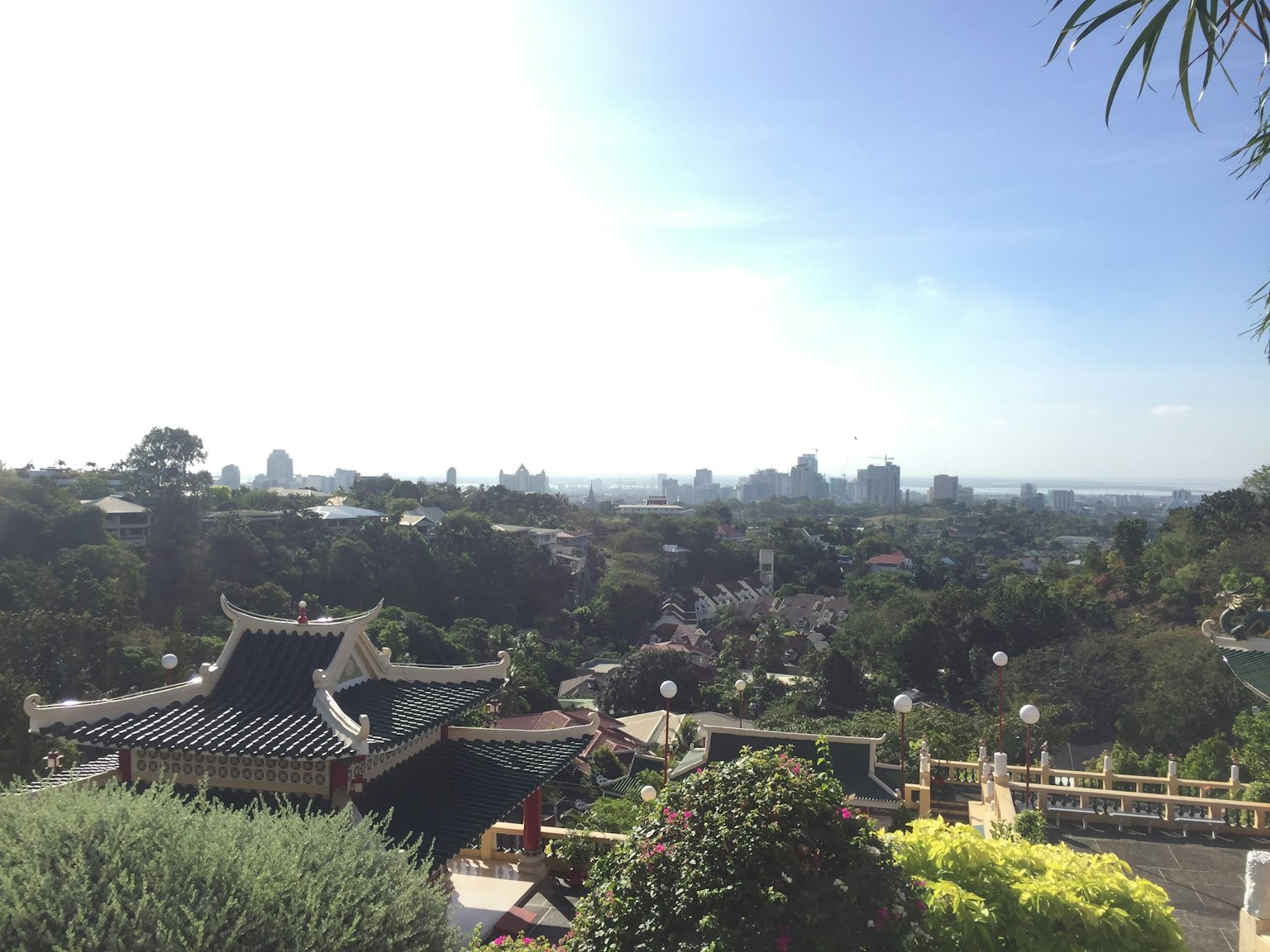 Lush park with traditional architecture rooftops and a distant city skyline