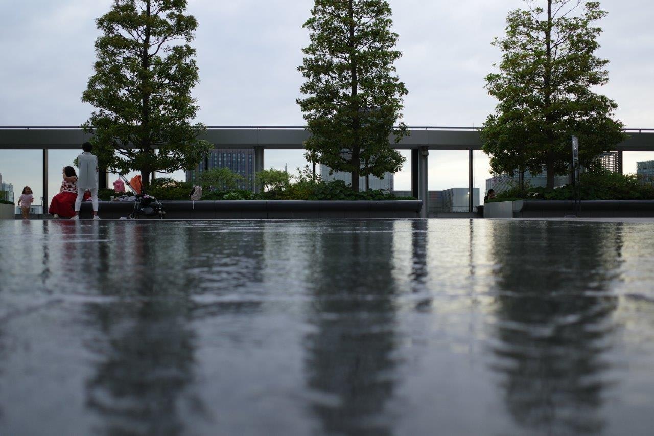 屋外の反射する水盤と並ぶ木々のあるモダンな建物前