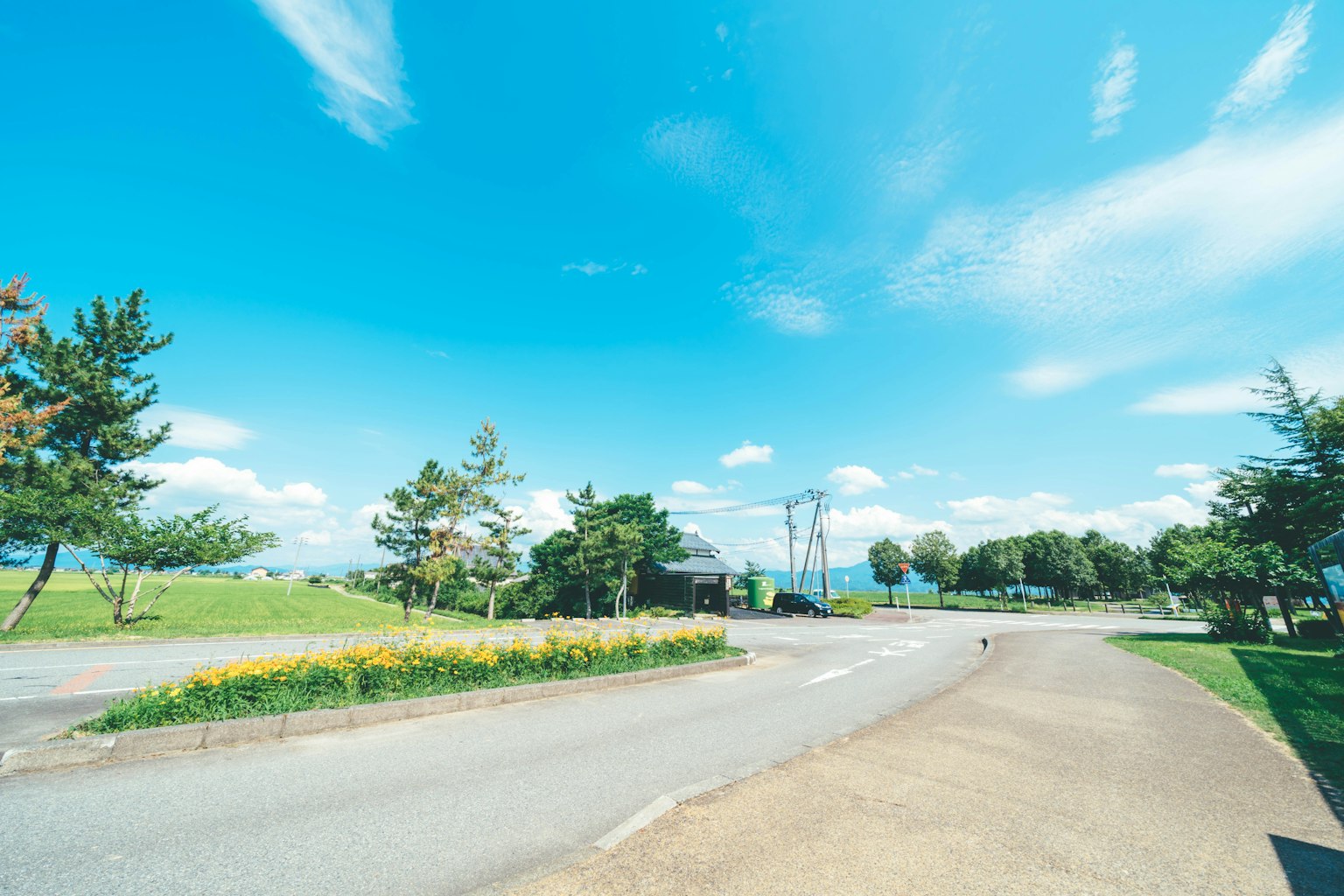 Vista escénica con cielo azul y árboles verdes, carretera y parterres de flores