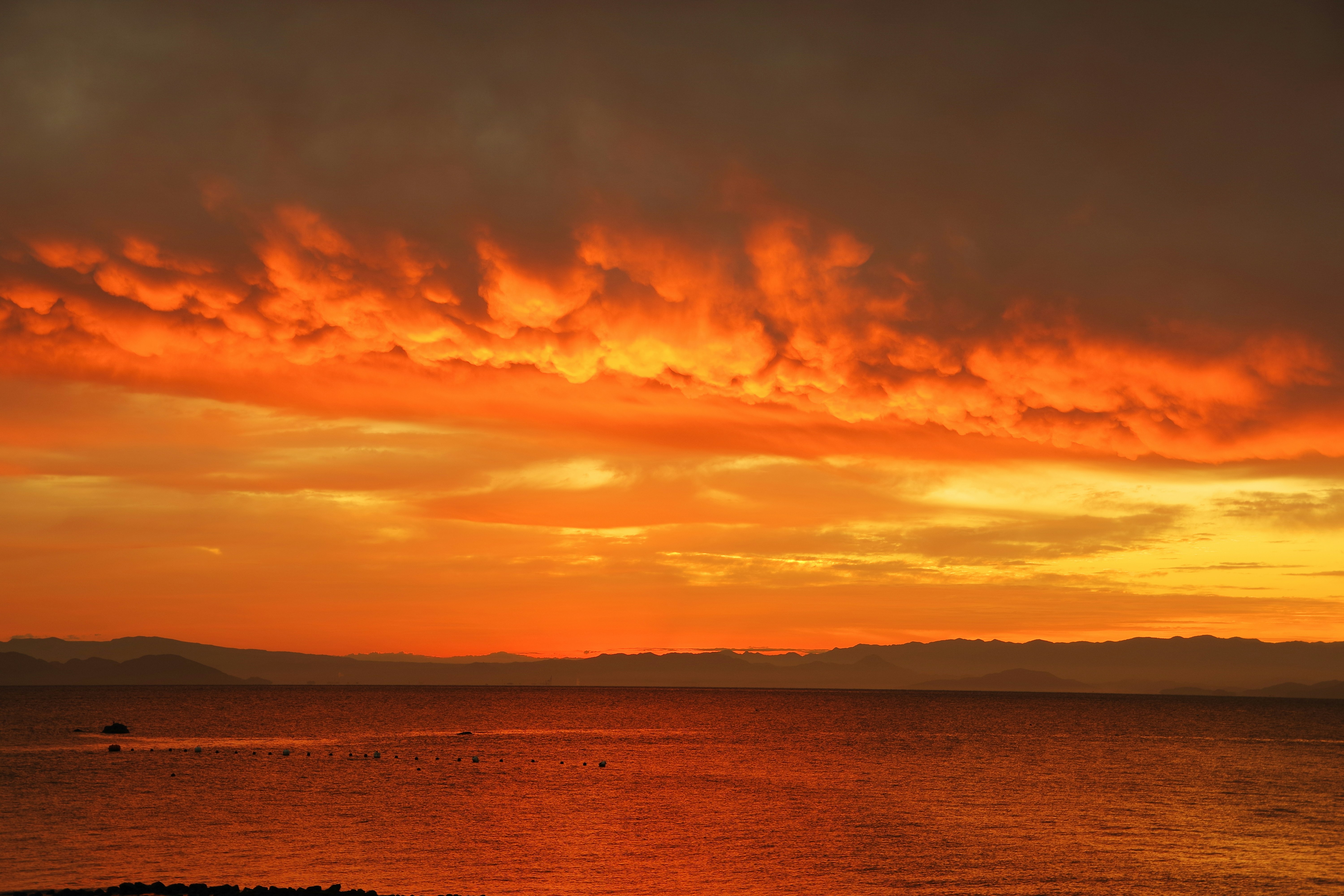nuages orangés au coucher du soleil au-dessus d’un rivage calme