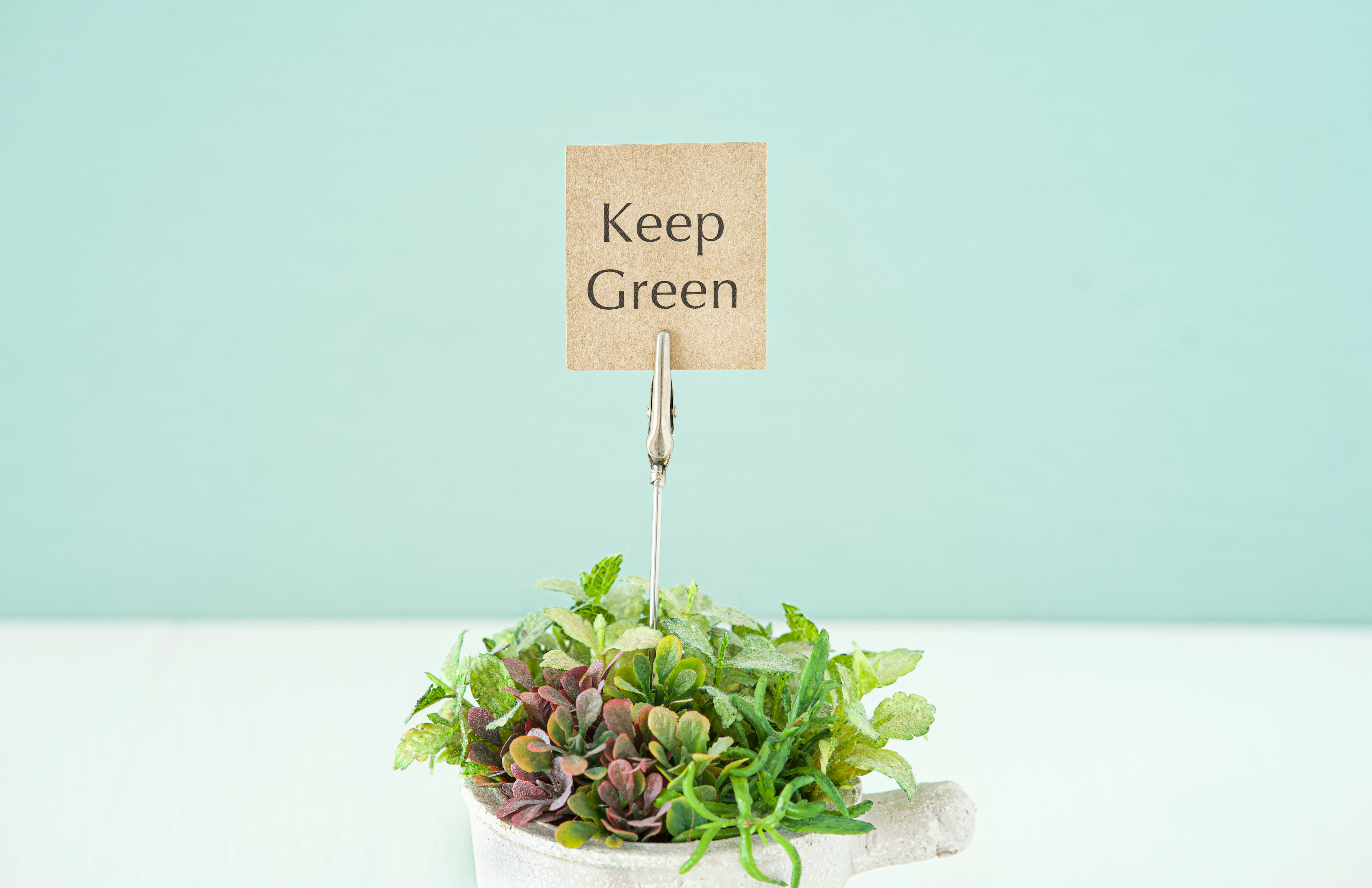 帶「Keep Green」標牌的盆栽