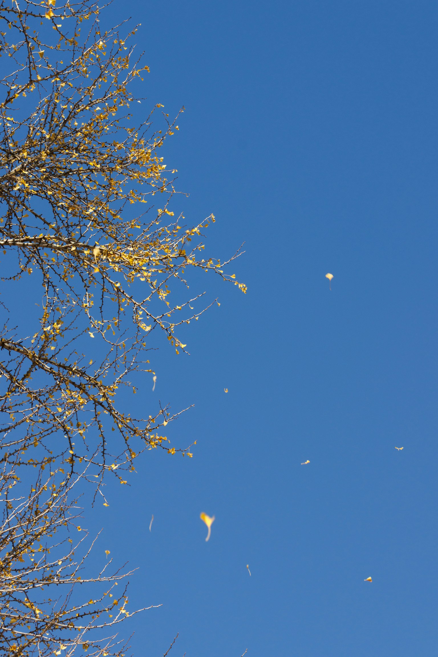 photo-vW8QSCV3hyPbDpzRqwLk-image