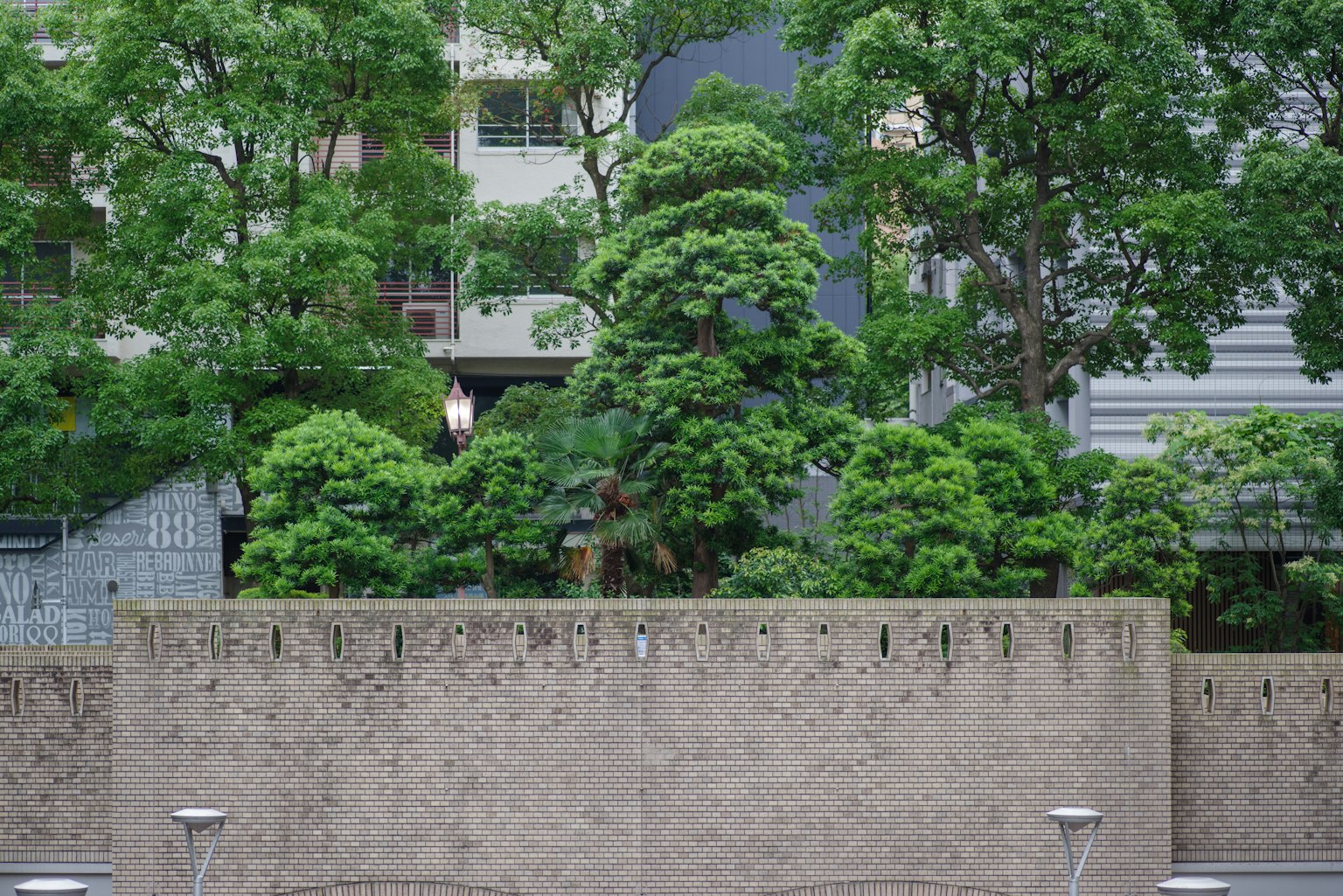 Verde rigoglioso con edifici moderni sullo sfondo