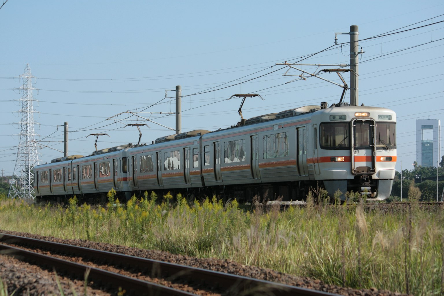 Treno argento che corre su binari invasi dalla vegetazione