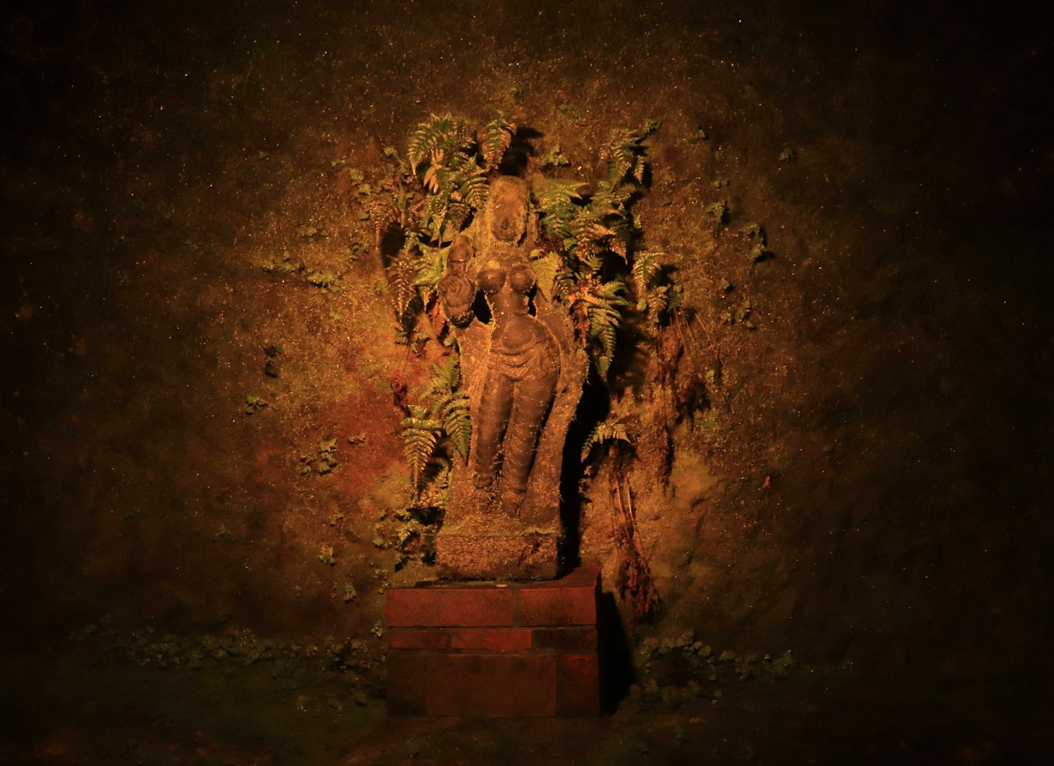 Une statue de Bouddha partiellement recouverte de feuillage illuminée contre un mur texturé