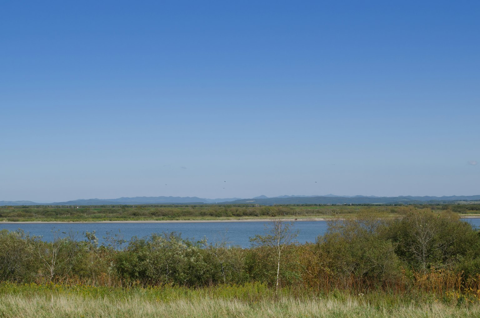 Un paysage serein avec une rivière calme sous un ciel bleu clair et une végétation luxuriante