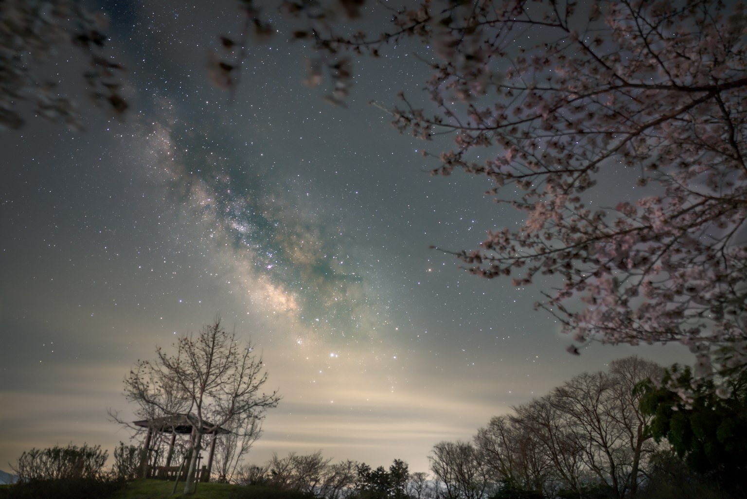 Cerisiers en fleurs sous un ciel étoilé avec la Voie lactée