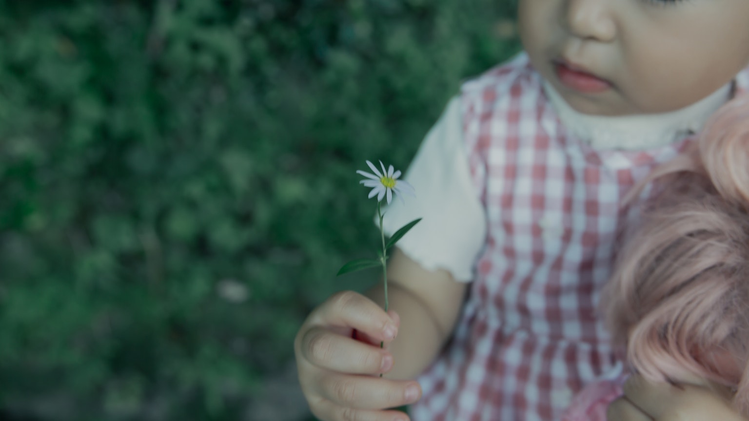 Un petit enfant tenant une fleur blanche sur fond vert