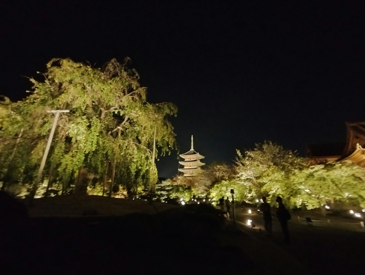 Japanischer Tempel bei Nacht beleuchtet umgeben von üppigem Grün