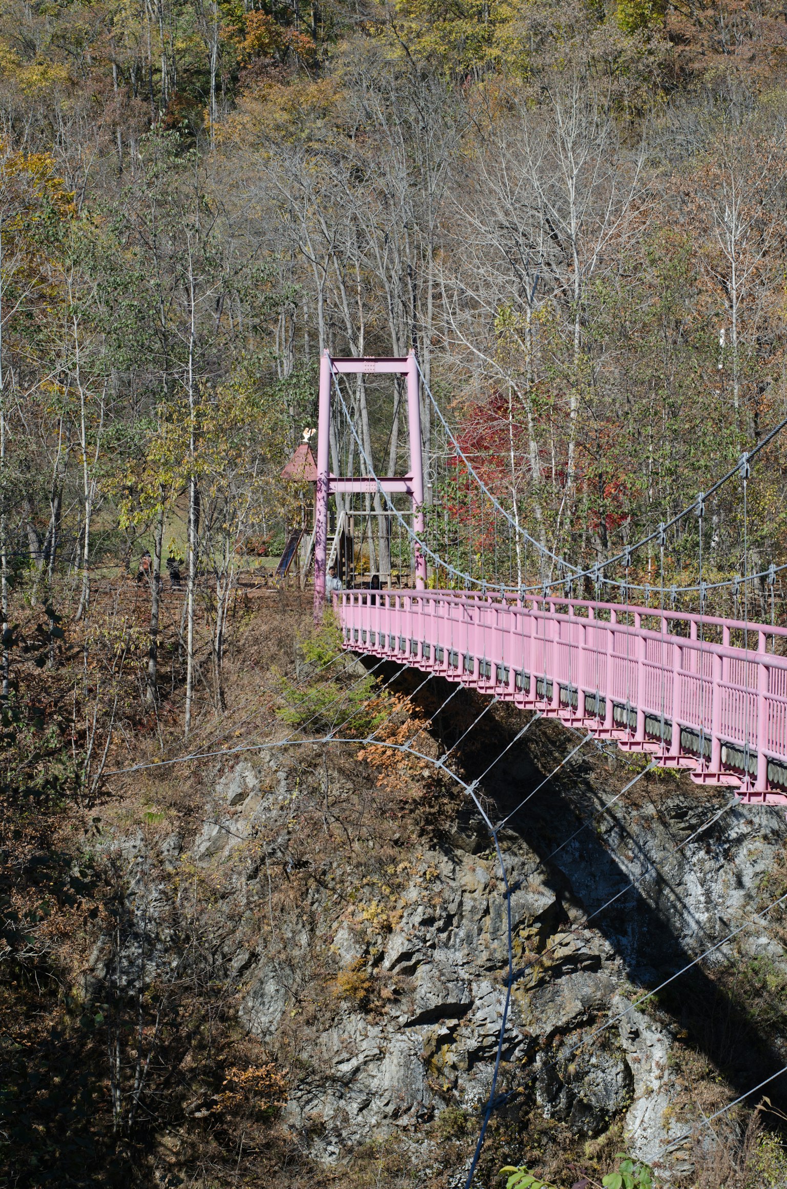A pink suspension bridge amidst a beautiful autumn landscape