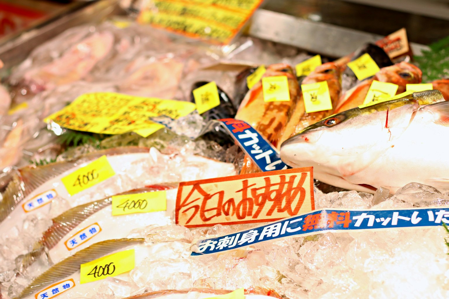 市場上展示的新鮮魚類和各種價格標籤