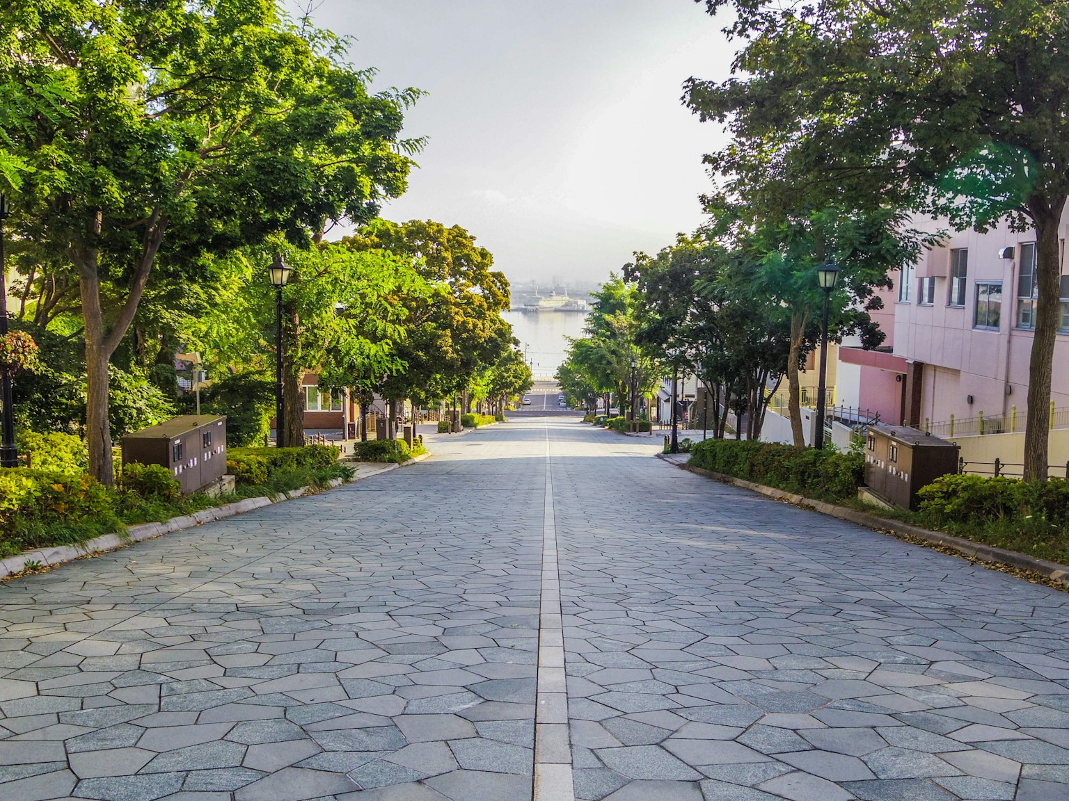 远处水面可见的绿树环绕的安静道路