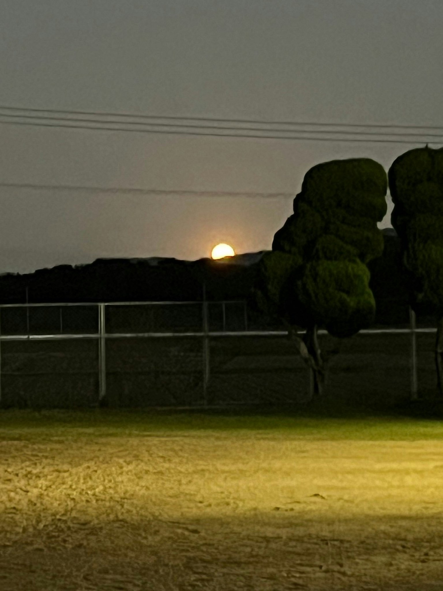 Luce del tramonto dietro le colline con alberi e cielo serale