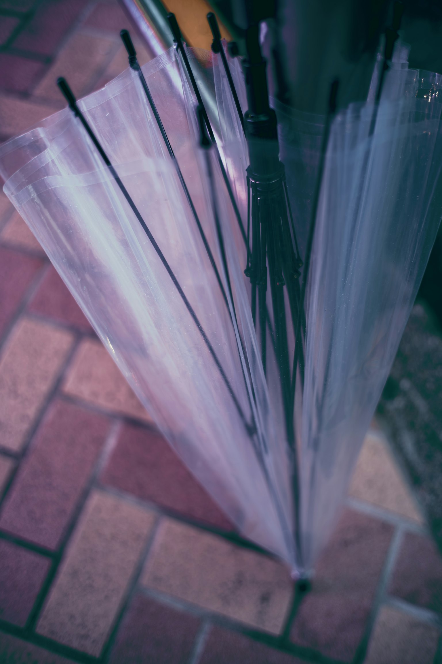 A collection of transparent umbrella handles arranged over a brick pavement