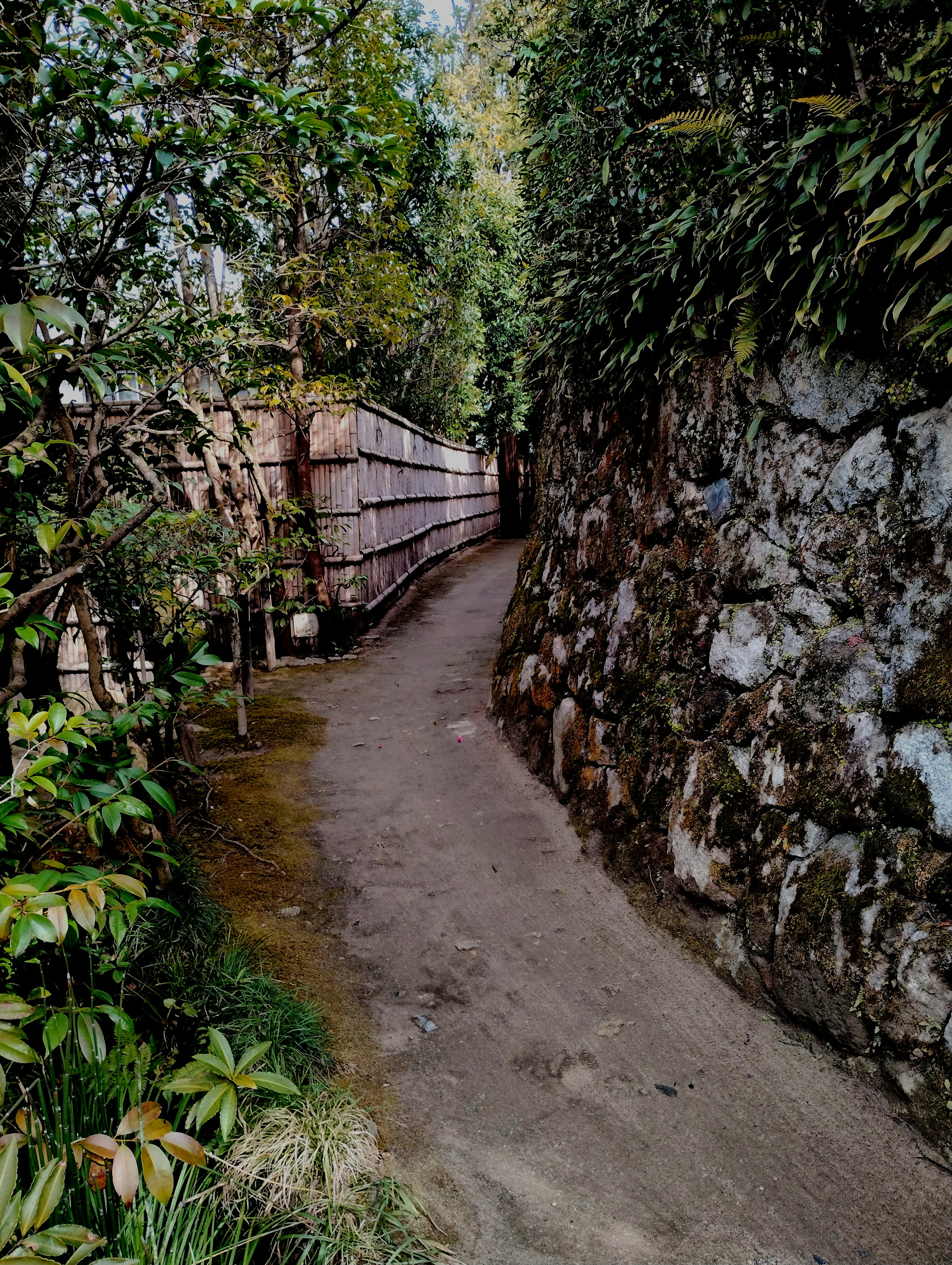 石垣の小道と木々に囲まれた曲がり道