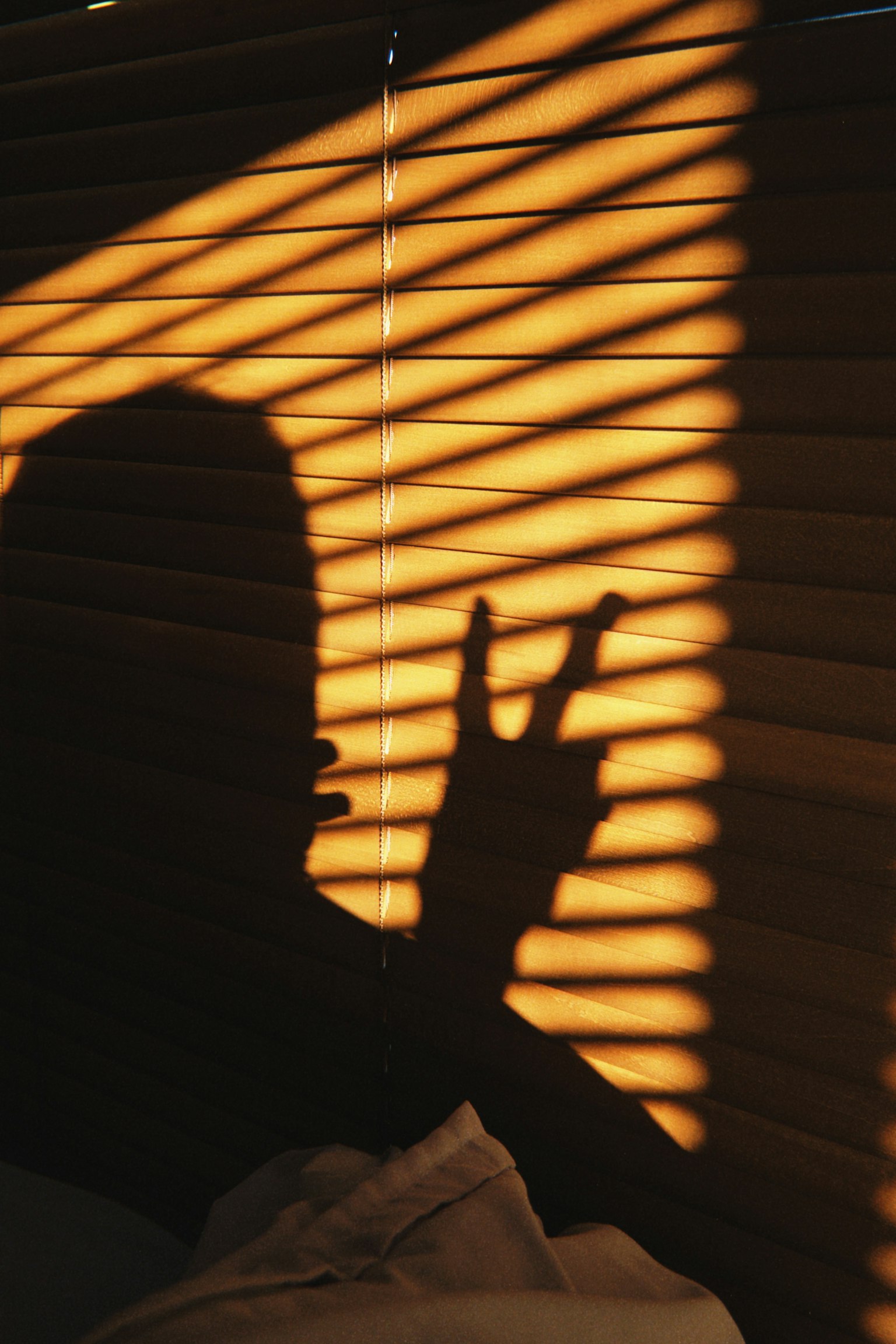 Silhouette einer Hand gegen gestreifte Schatten von Jalousien
