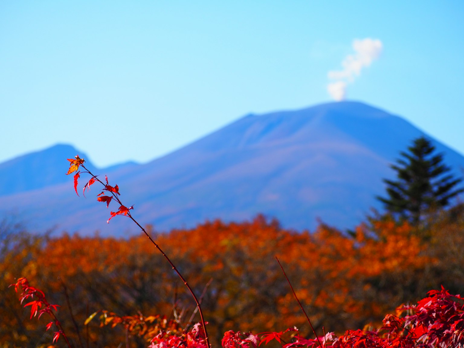 Montagna con fumo circondata da un fogliame autunnale vibrante