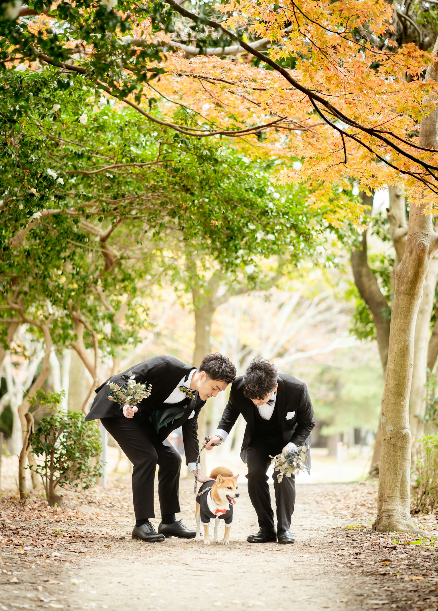 photo-vcHnCodqdDPGcxqBuMFt-image