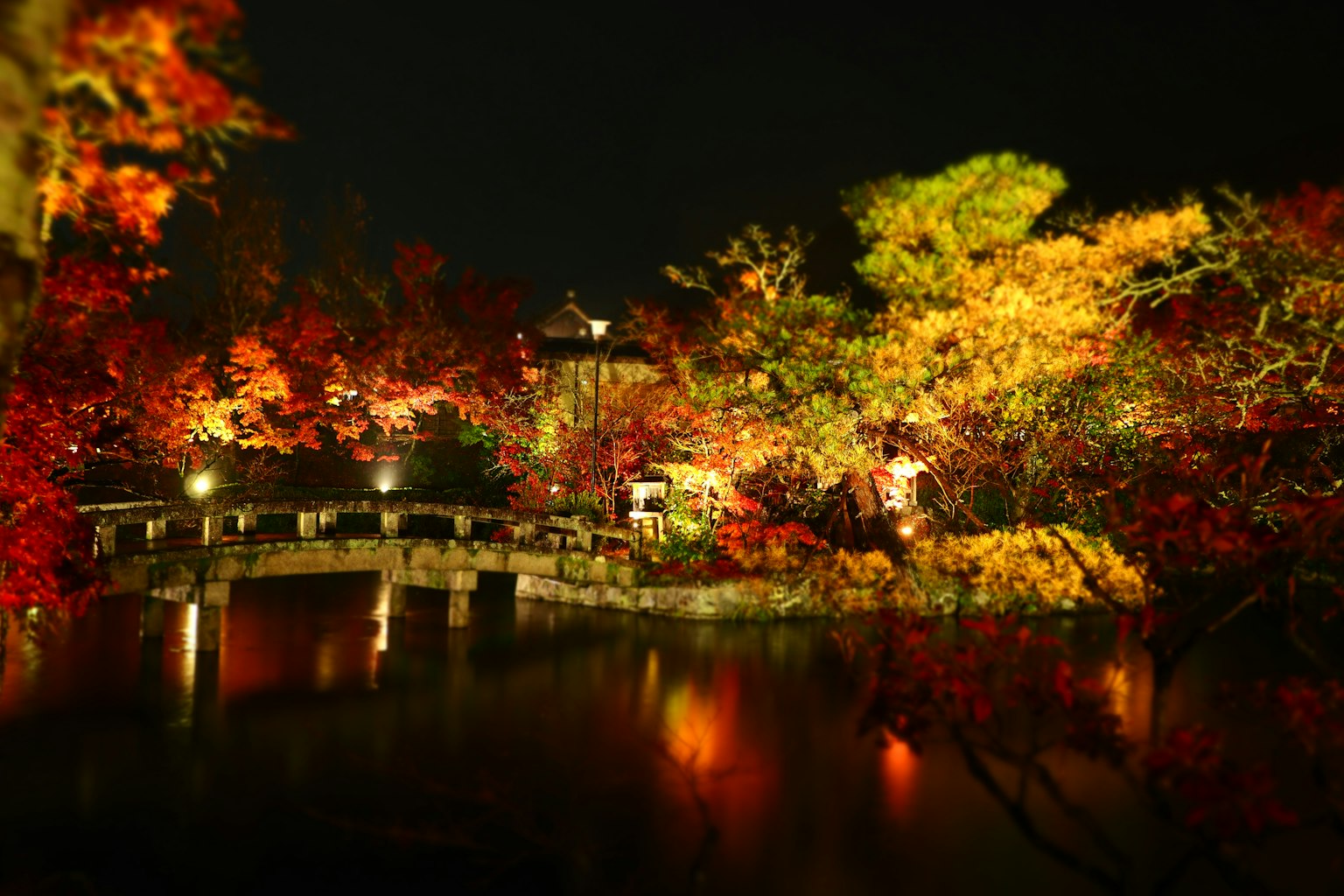 Vista notturna di un giardino giapponese con fogliame autunnale vibrante