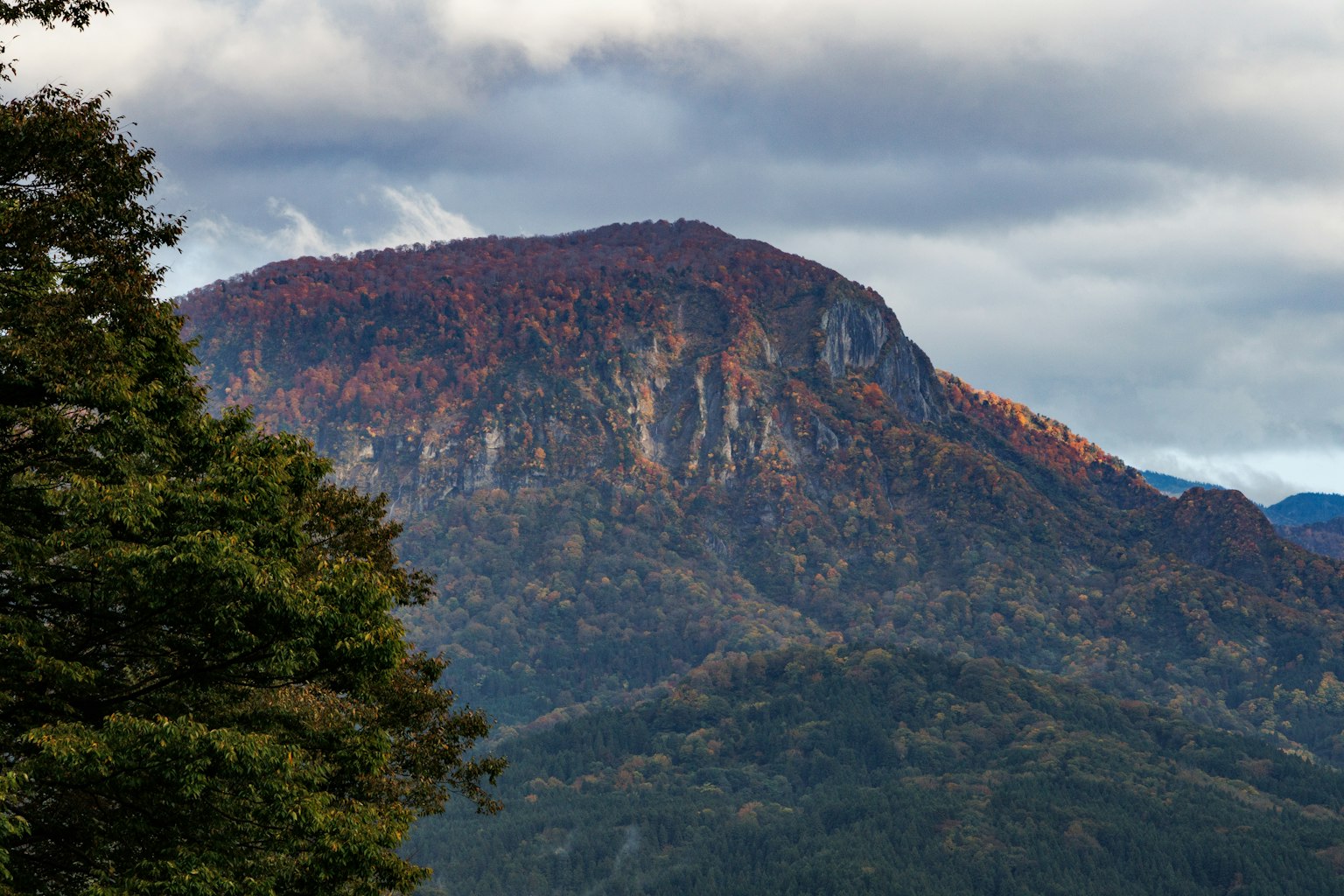 秋の色合いが美しい山の風景