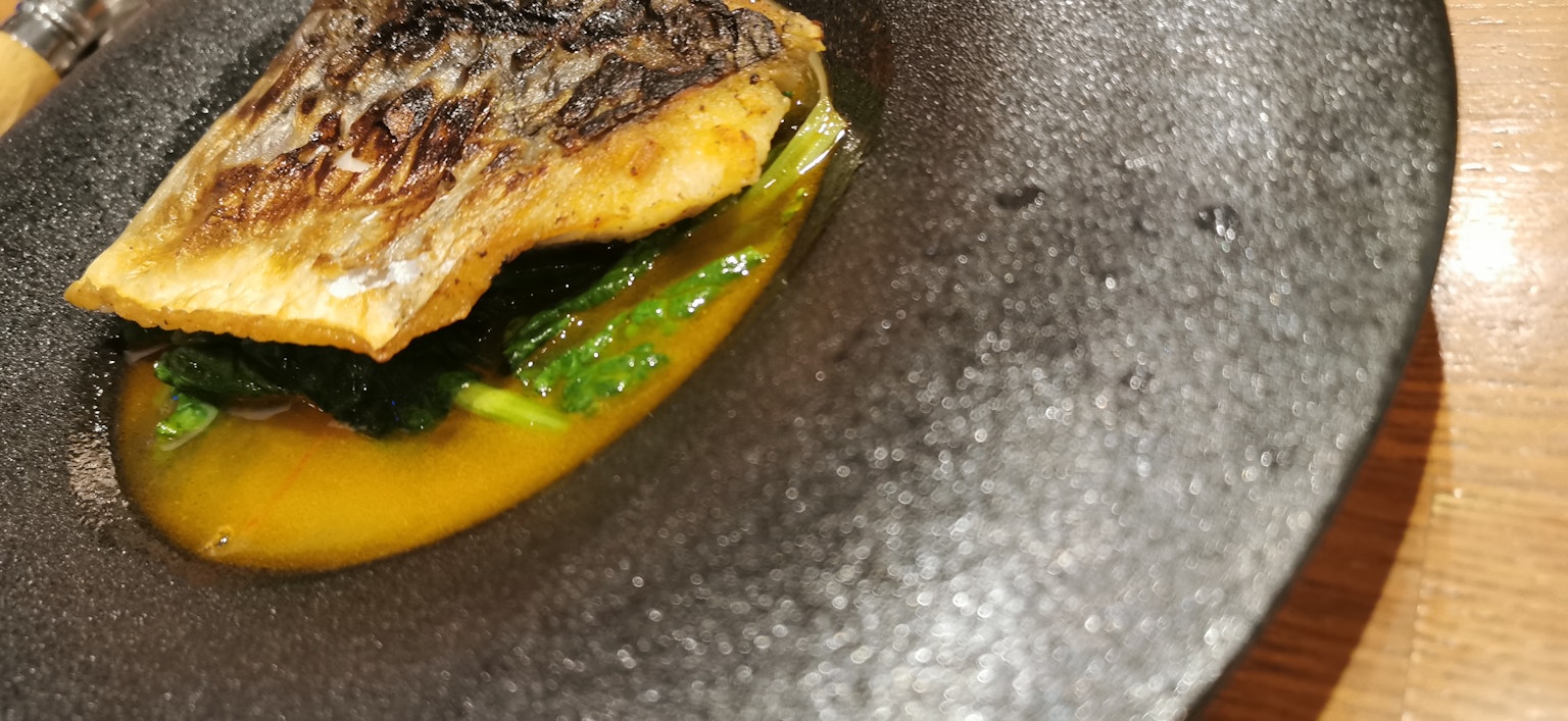 Grilled fish served with greens and sauce on a textured plate