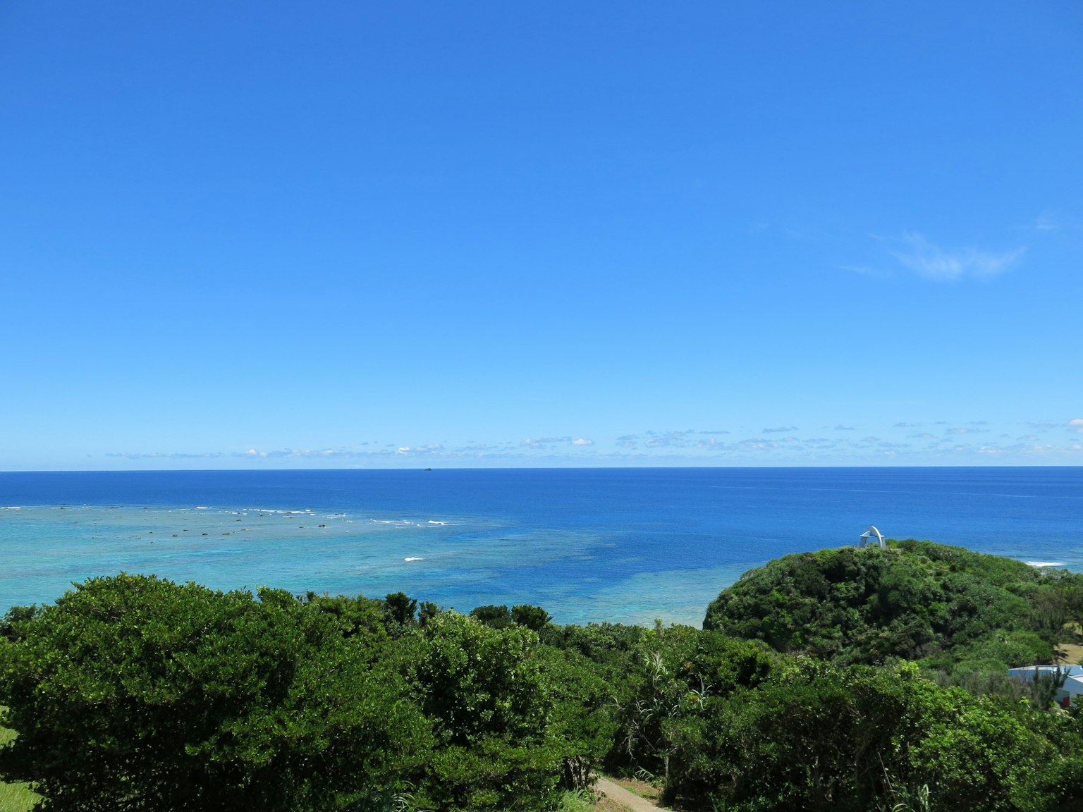Bellissimo paesaggio con mare e cielo blu alberi verdi lussureggianti