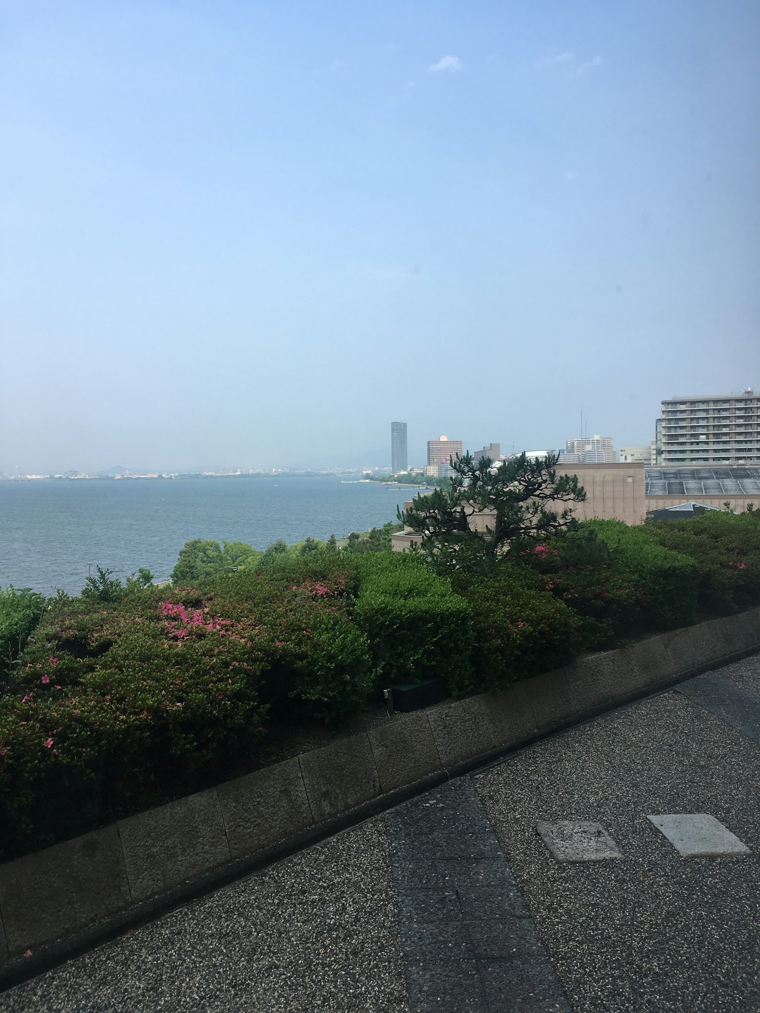 城市景觀，綠意與海洋