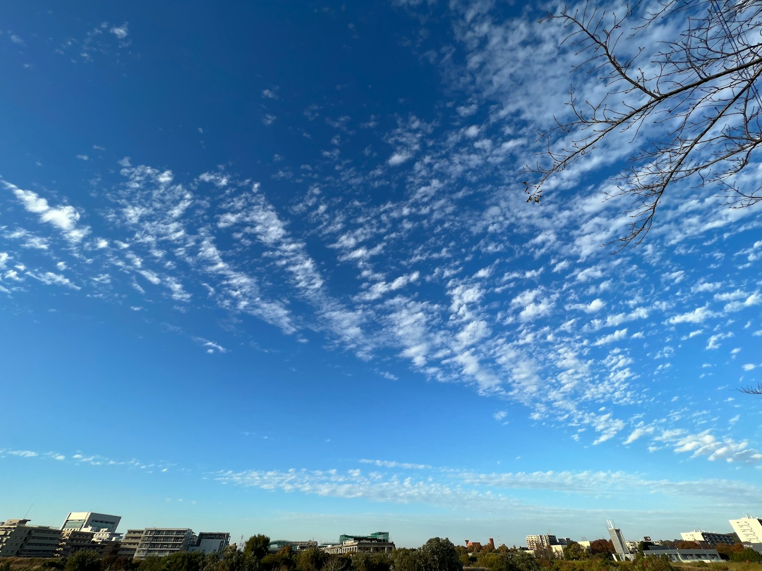 Un paisaje con cielo azul y nubes blancas y edificios