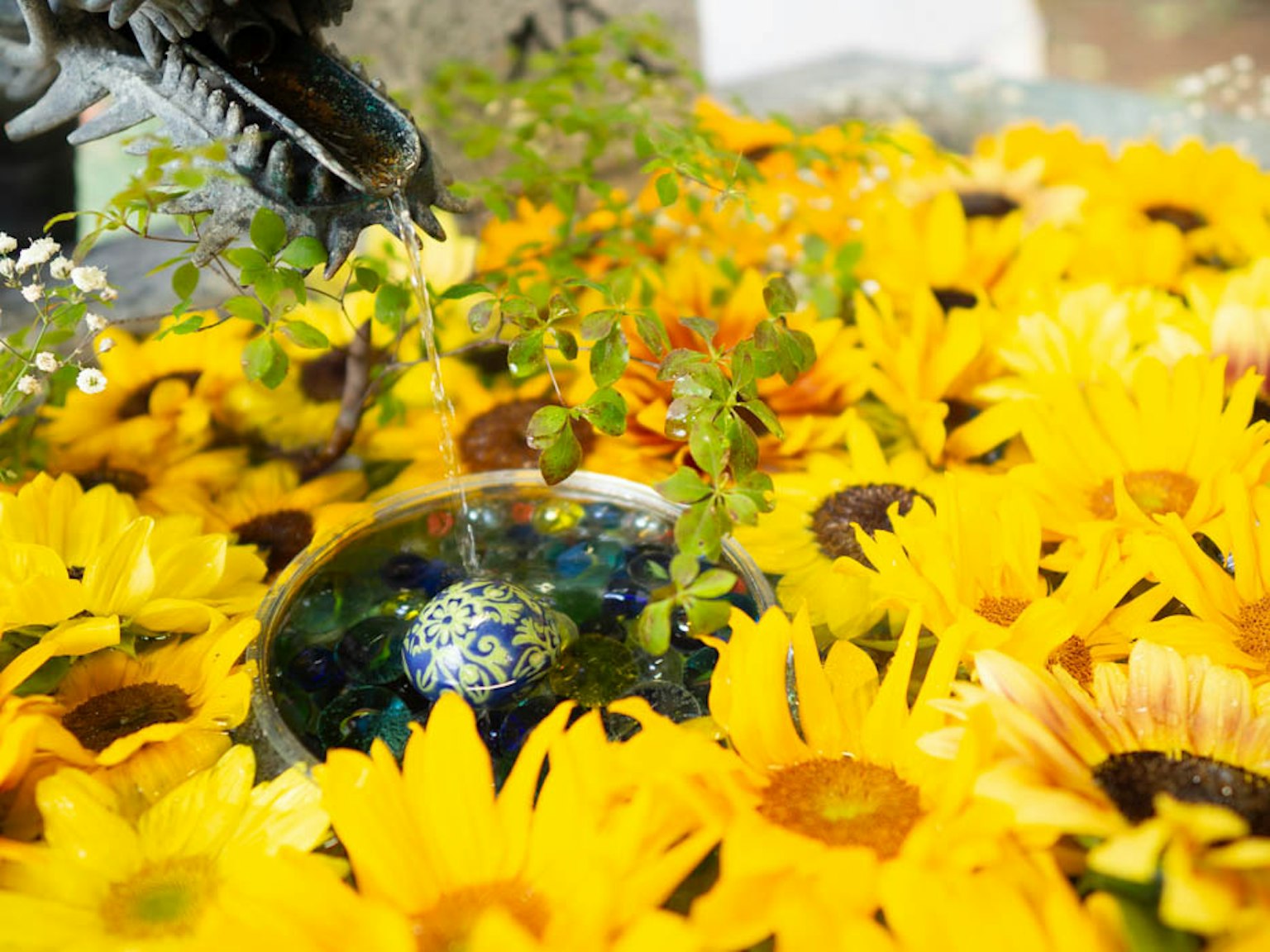 Esposizione di una vasca poco profonda circondata da girasoli gialli brillanti e piccole piante verdi