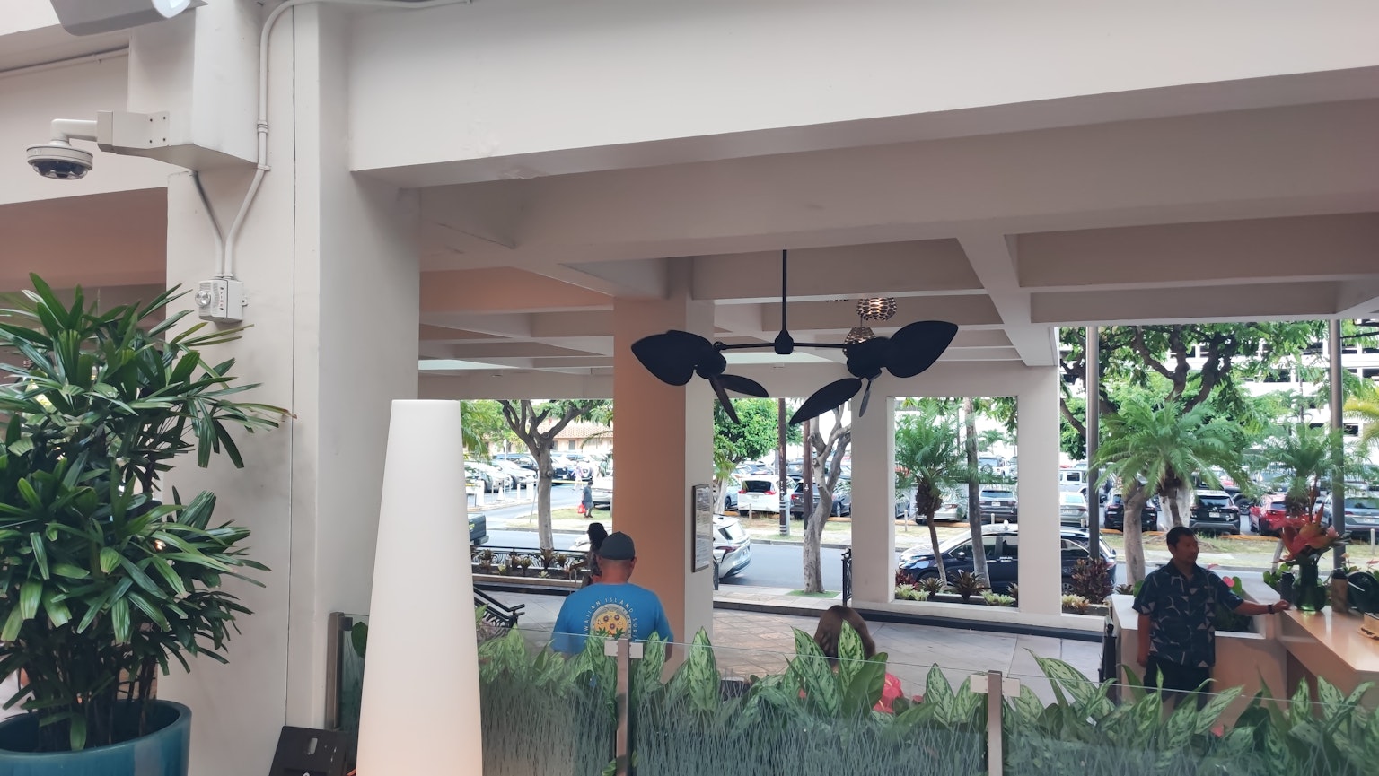Vista interna di un caffè con piante e ventilatori a soffitto
