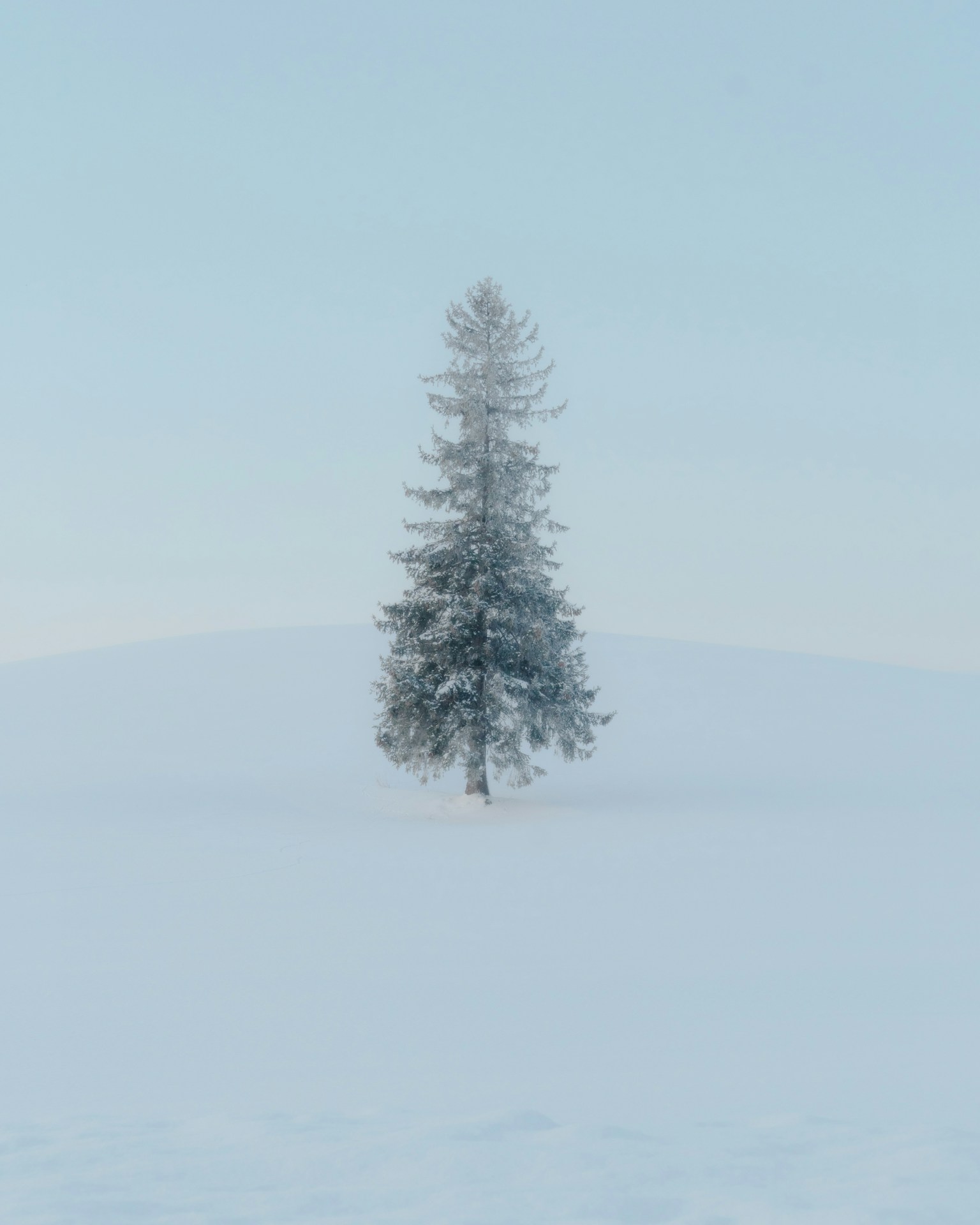 photo-vg1X0GtB2Rho58c0xyqS-image