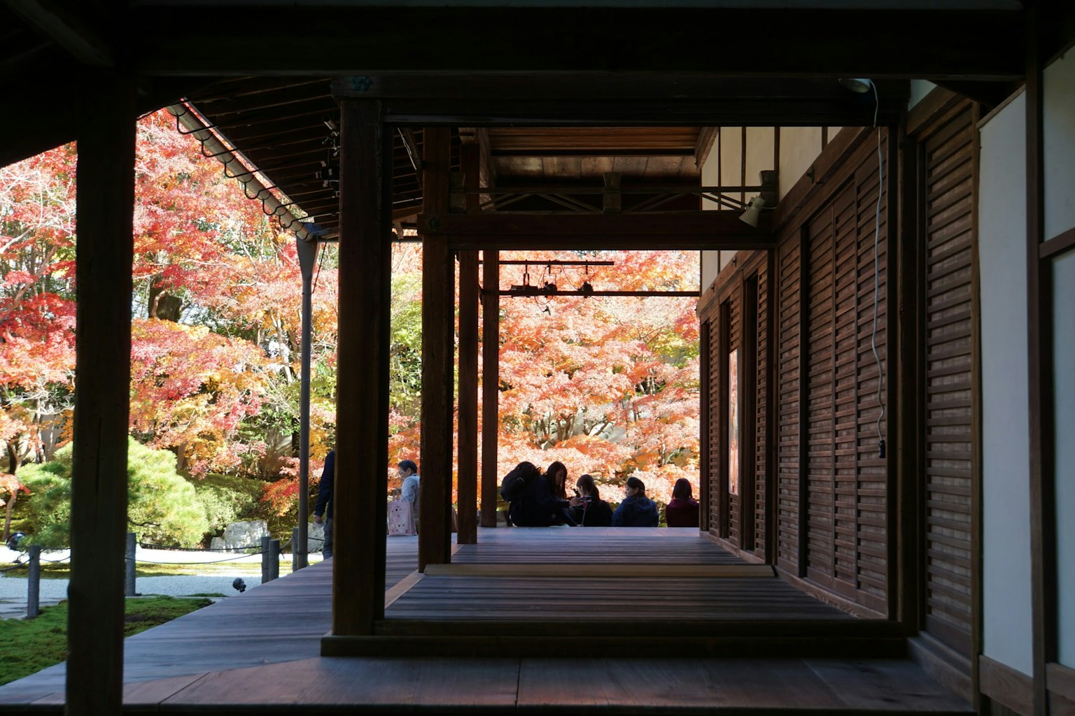 Traditional Japanese corridor with beautiful autumn foliage in the background