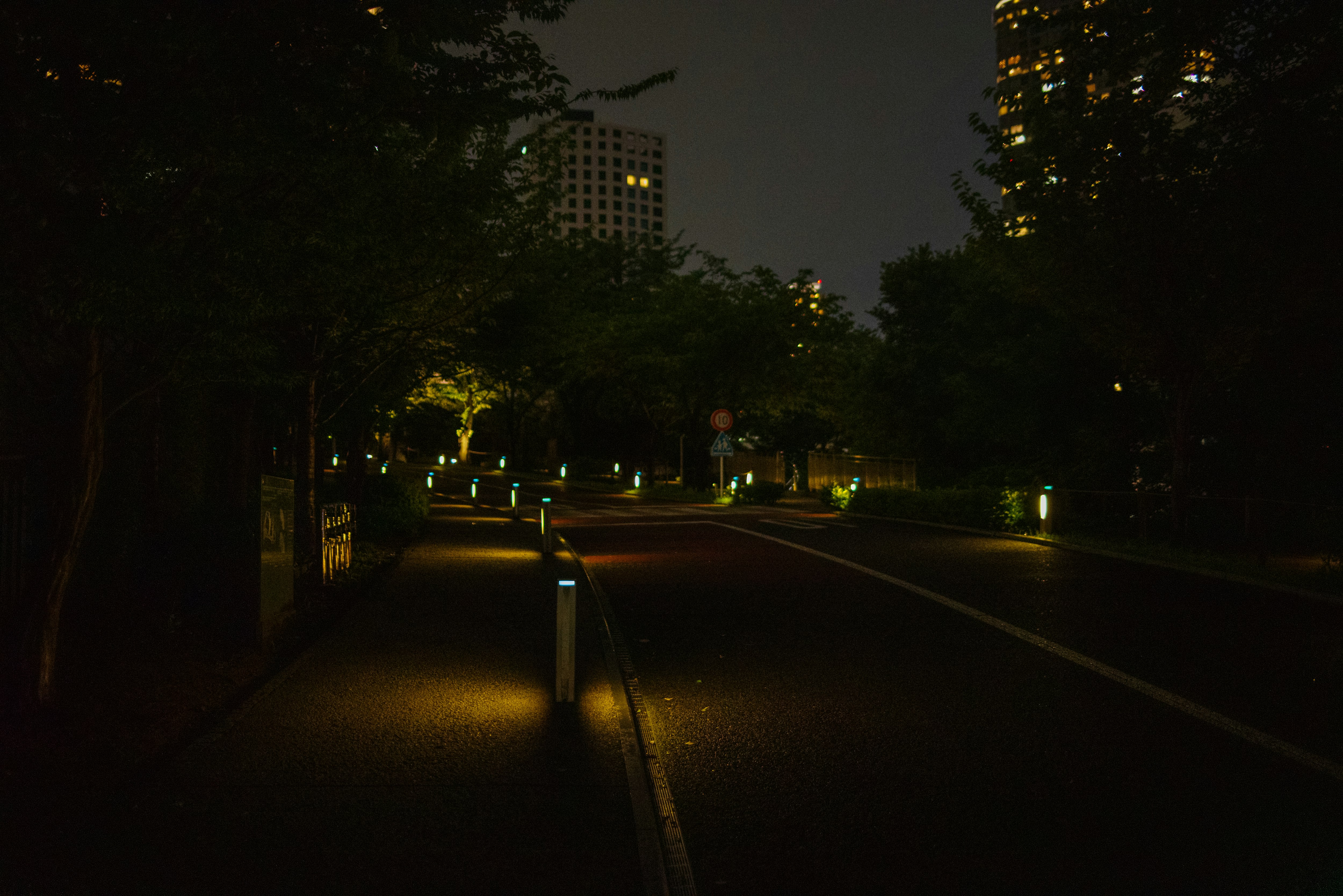 夜間公園小徑，四周環繞著樹木和環境照明